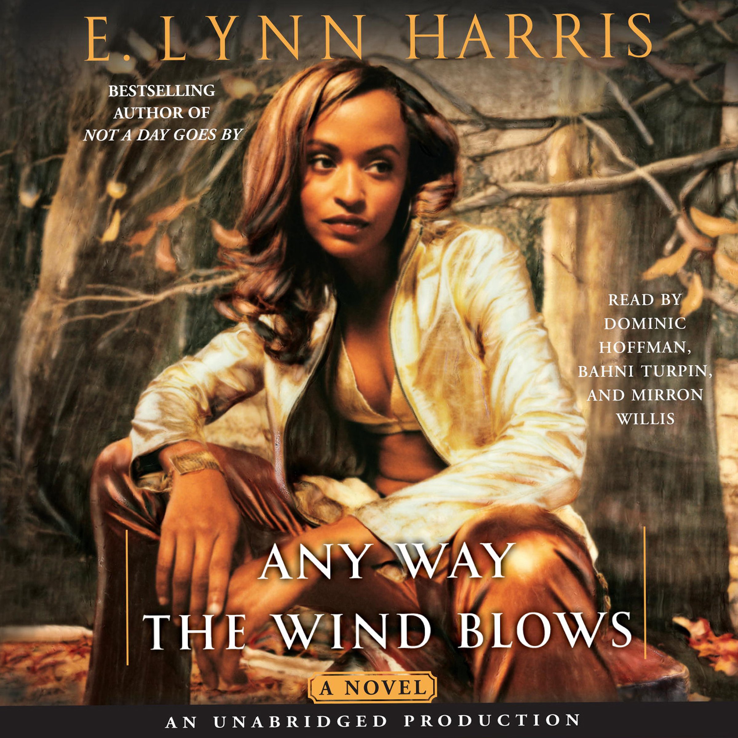 Cover art for Any Way the Wind Blows