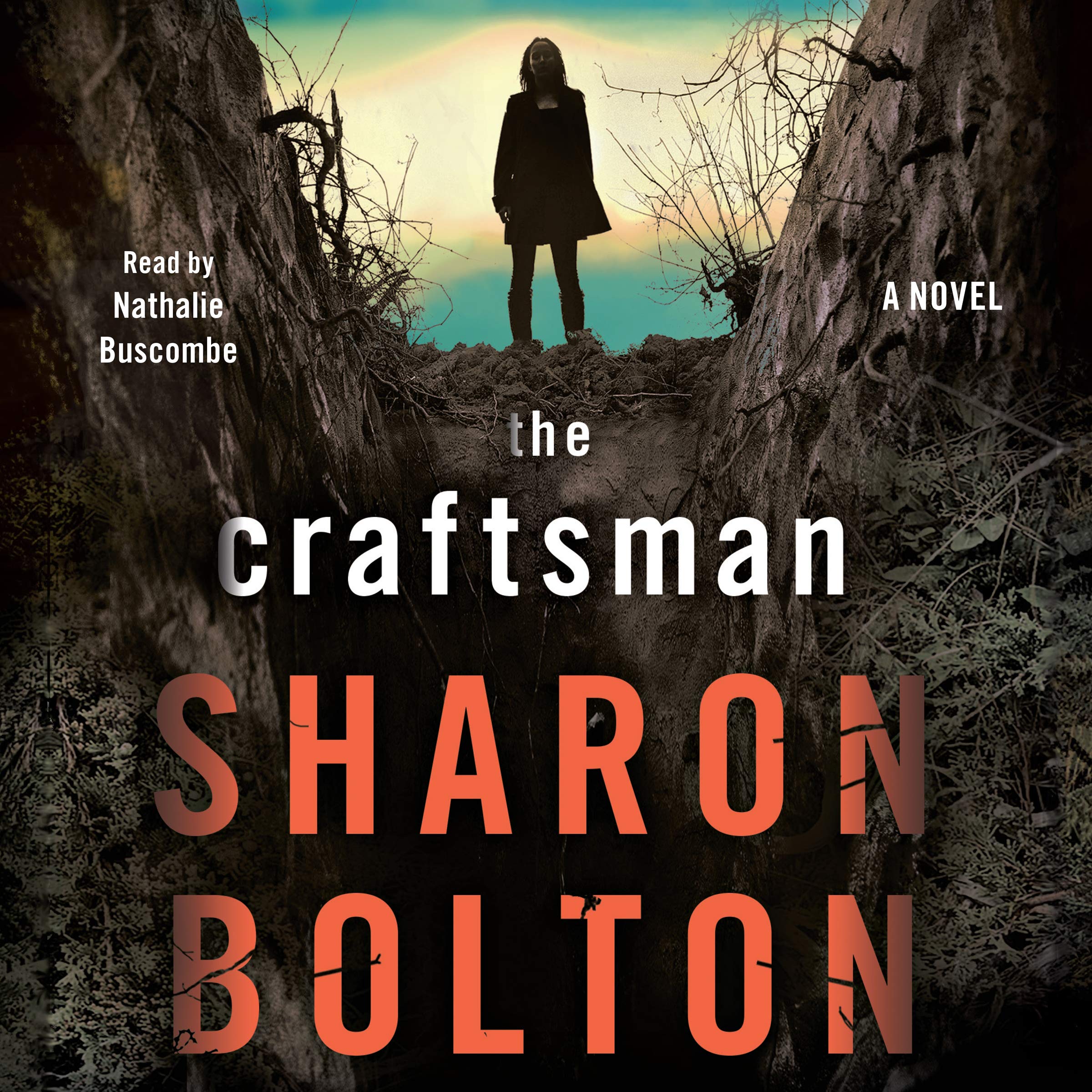 Cover art for The Craftsman