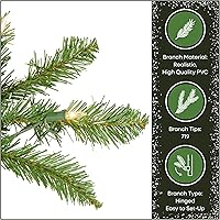 Vista 7 de National Tree Company 6.5 ft Pre-Lit Kingswood Fir Slim Artificial Christmas Tree, 250 Clear Lights, 719 Tips, Includes Stand, Green