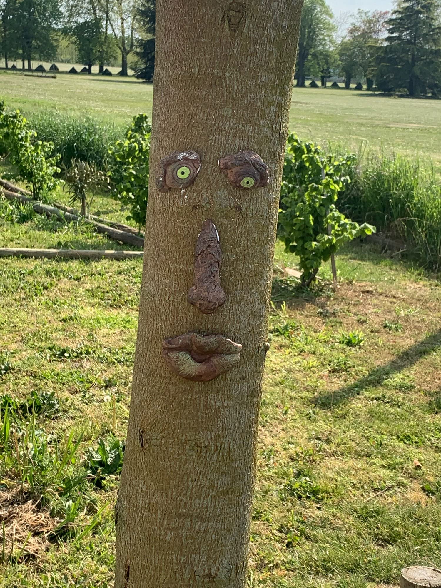 BTMIEY - Decoraciones 3D en Forma de Cara de árbol de Anciano, Talla Divertida de Cara de Anciano, decoración de jardín caprichosa (B)