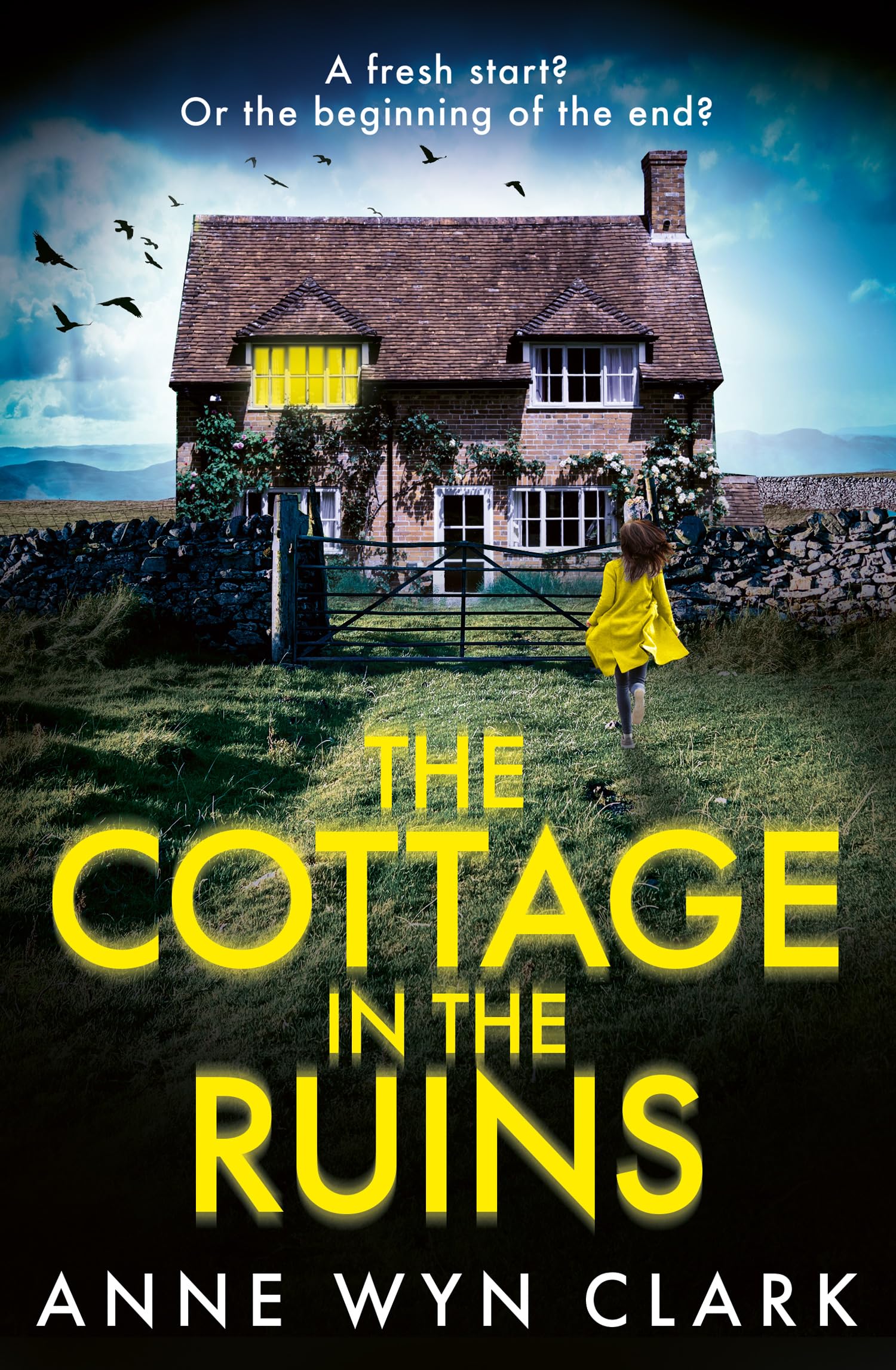 The Cottage in the Ruins by Anne Wyn Clark - 9780008763435