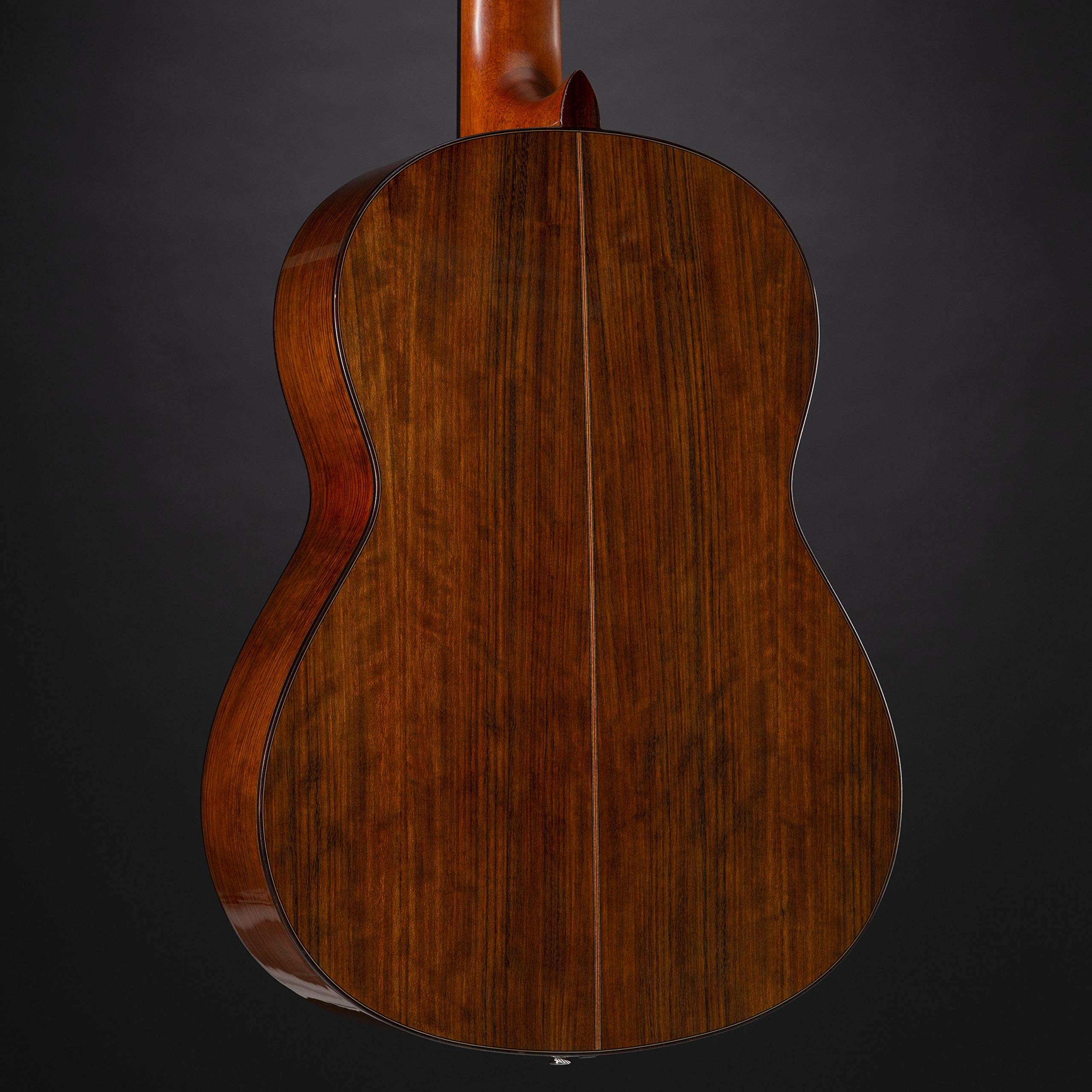 CG-TA Transacoustic - Chitarra classica 4/4