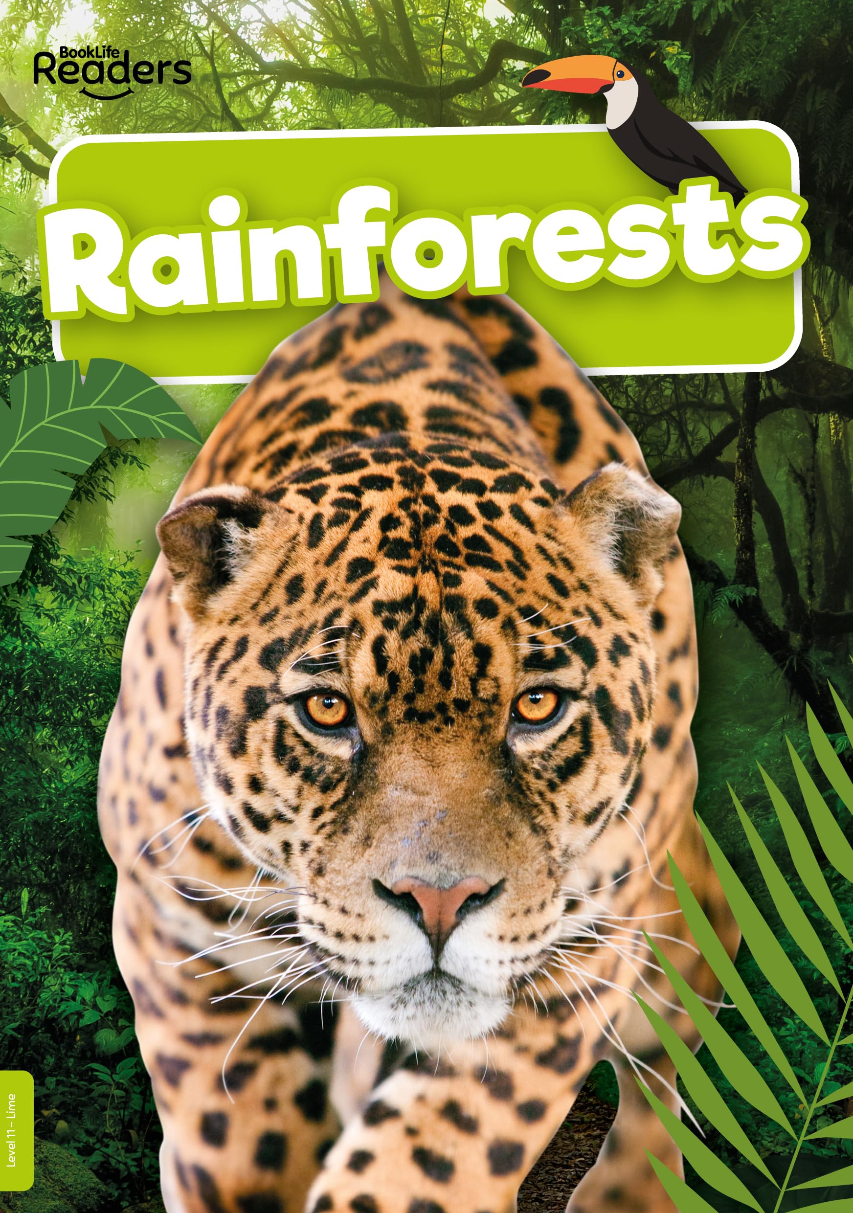 Rainforests (BookLife Non-Fiction Readers)
