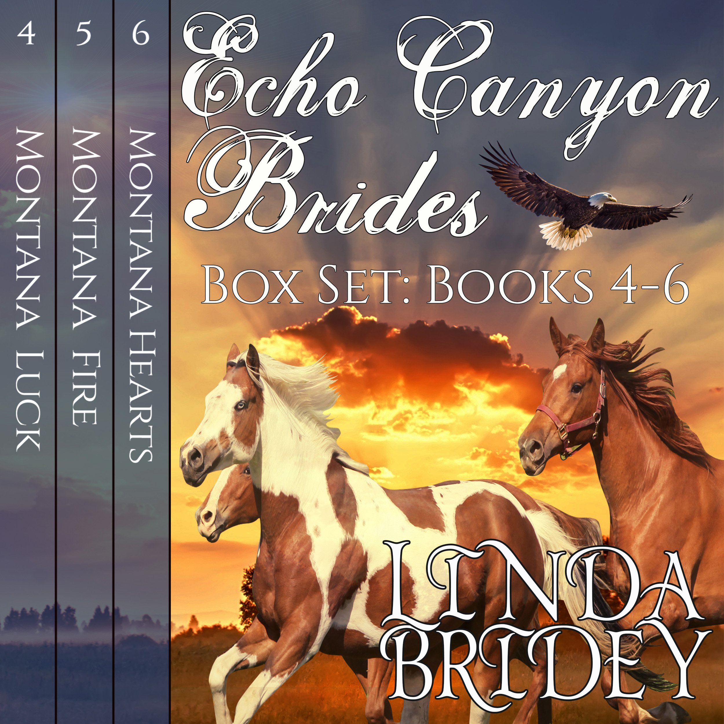 Cover art for Echo Canyon Brides Box Set: Books 4-6