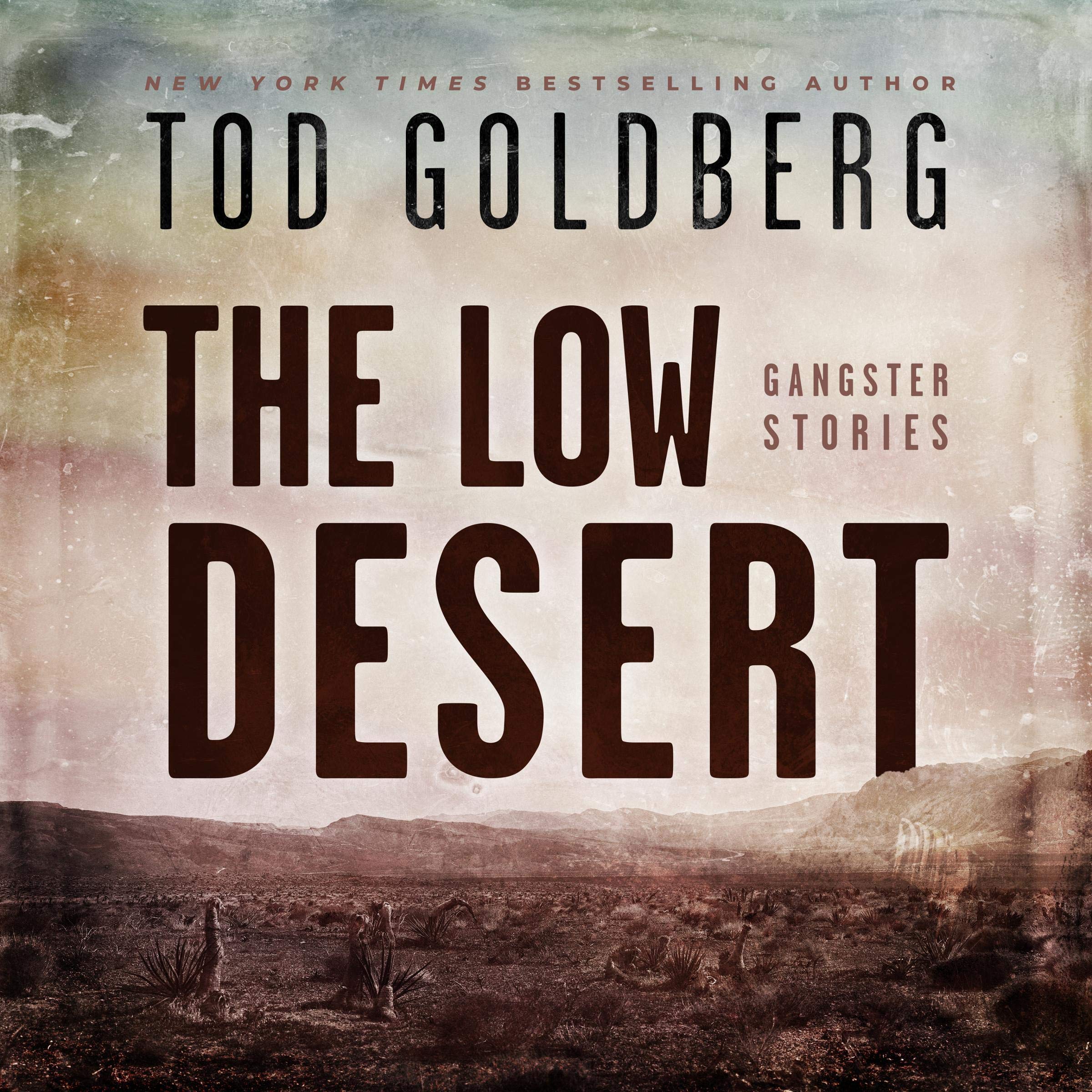 Cover art for The Low Desert