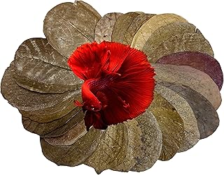 Awesome Aquatic Betta & Shrimp Leaves 30 4"-6" Premium Catappa Indian Almond Leaves Natural