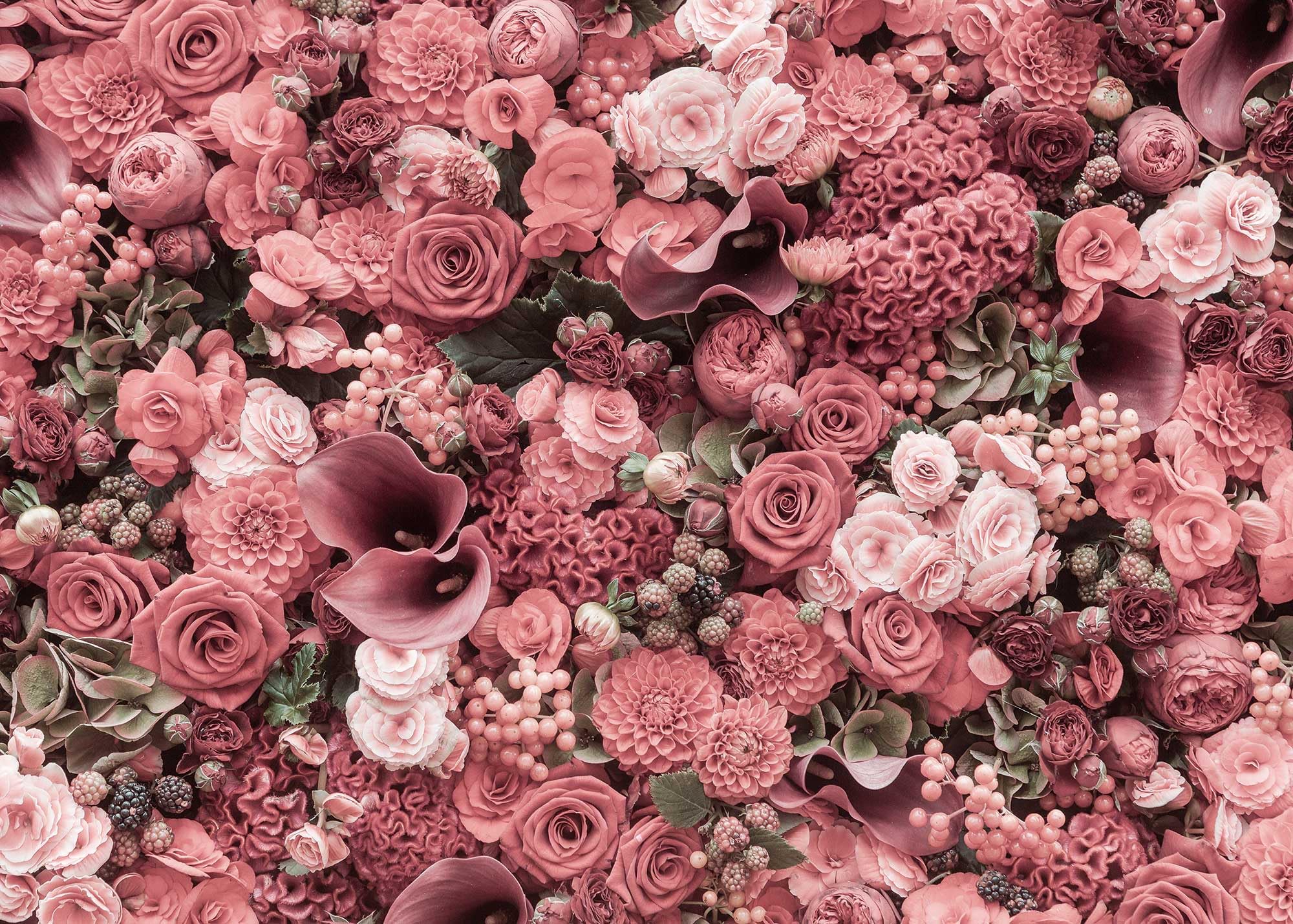 Ulmer Puzzleschmiede - Różowe puzzle "Rouge" – klasyczne 2000 elementów puzzle z kwiatami i kwiatami w kolorze czerwonym – motyw puzzli dla wszystkich, którzy kochają czerwone róże i nie boją się