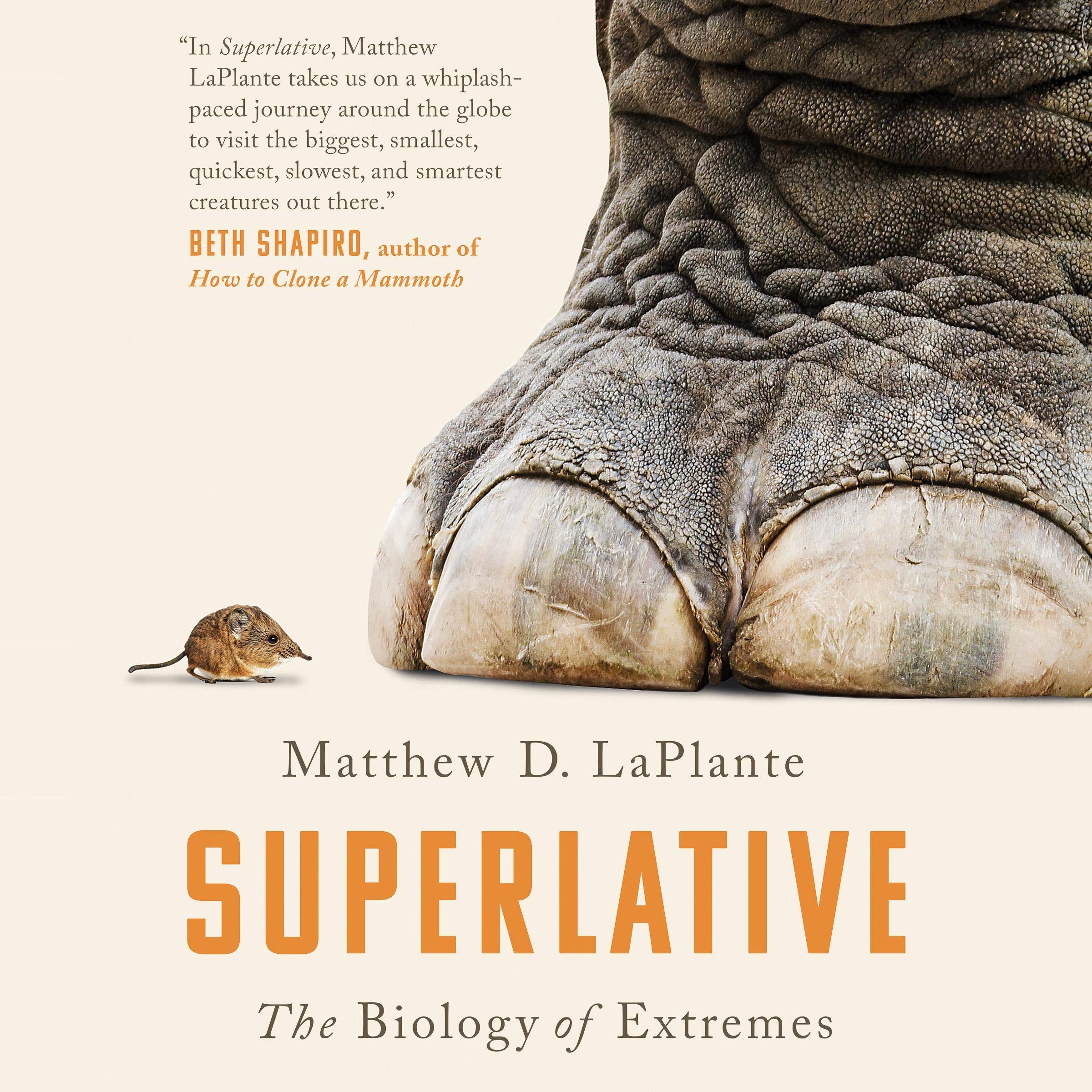 Cover art for Superlative