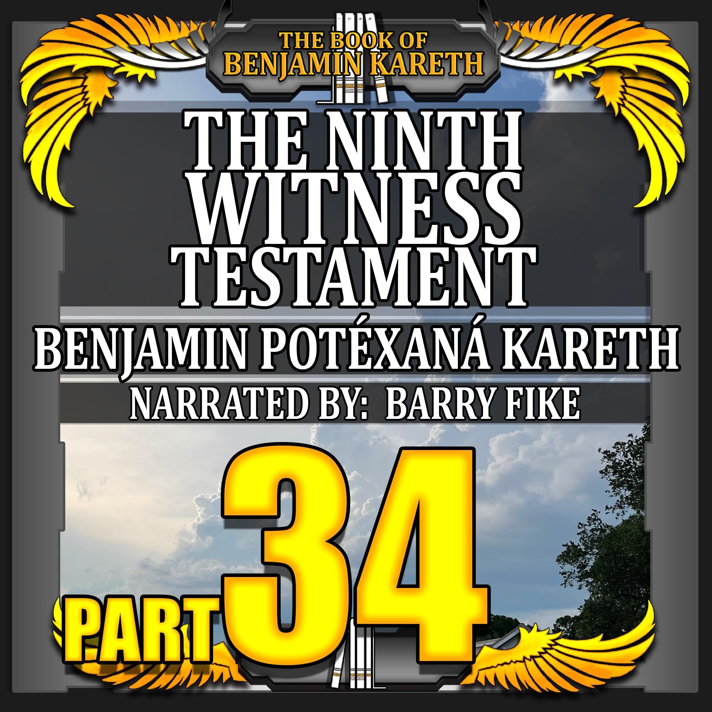 Cover art for The Ninth Witness Testament