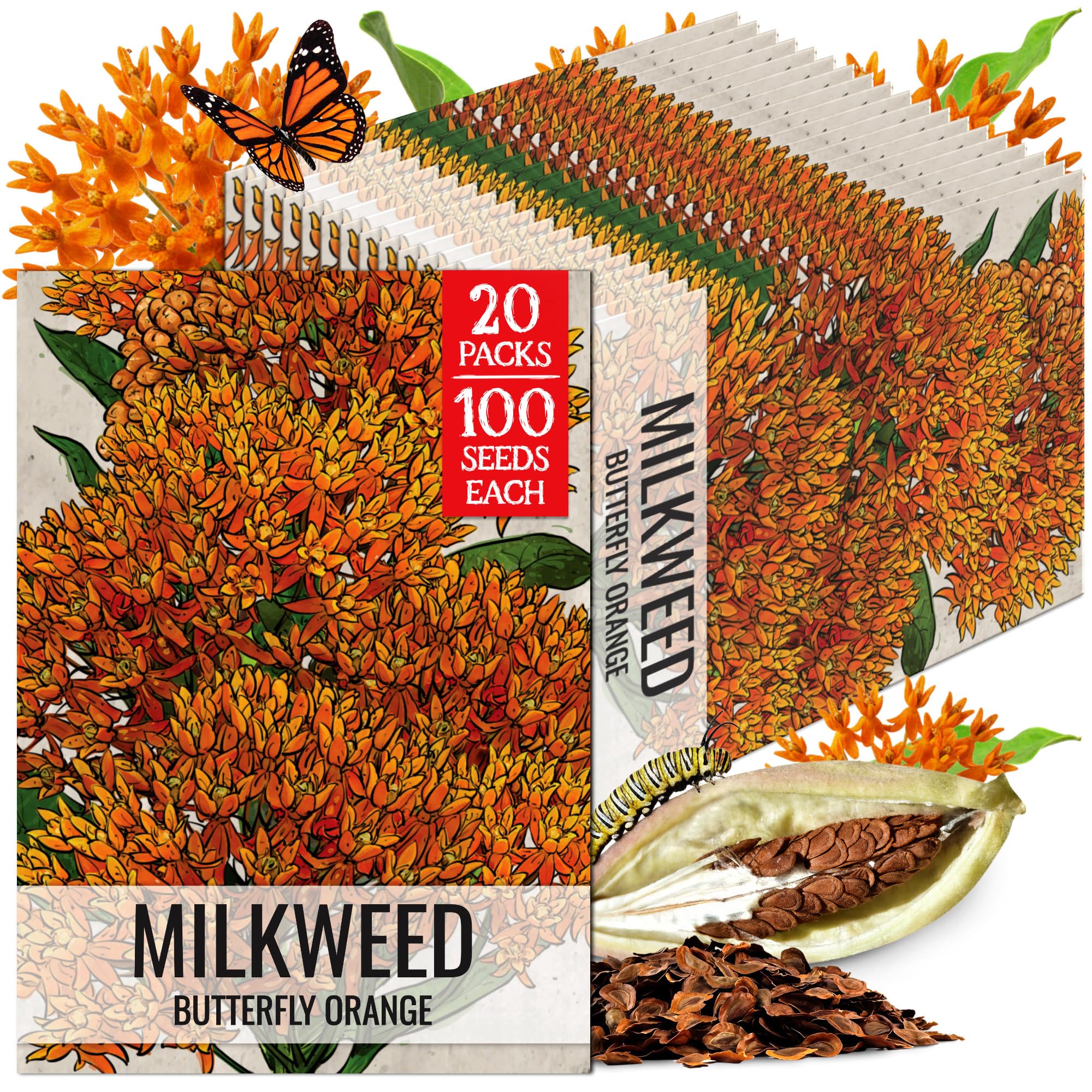 Seed Needs Orange Butterfly Milkweed Seeds for Monarch Butterflies 20 Pack