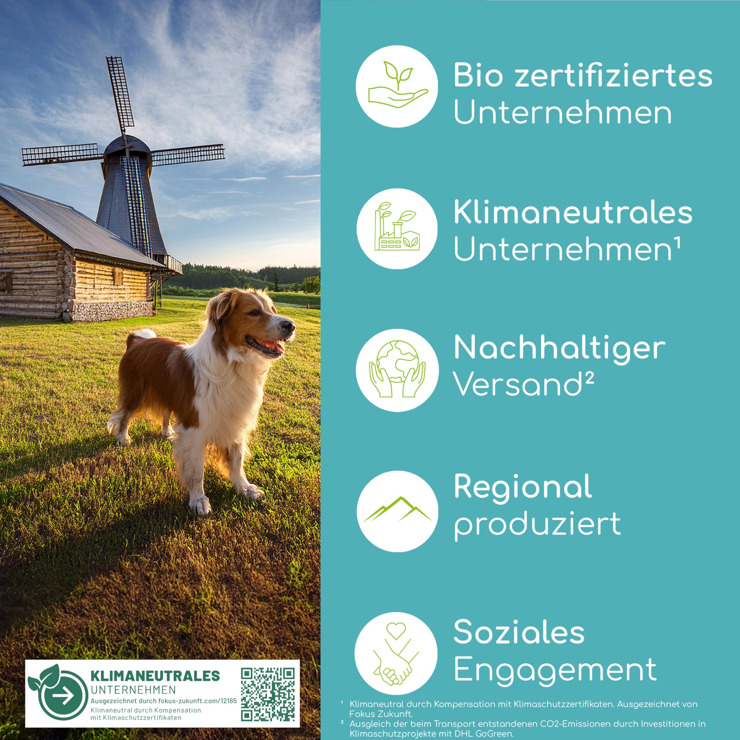 Zahnpflege-Snacks für Hunde | Zahnpflege Leckerli 4 x | Natürliche Zahnreinigung ohne Bürsten | Löst Zahnstein, verleiht frischen Atem