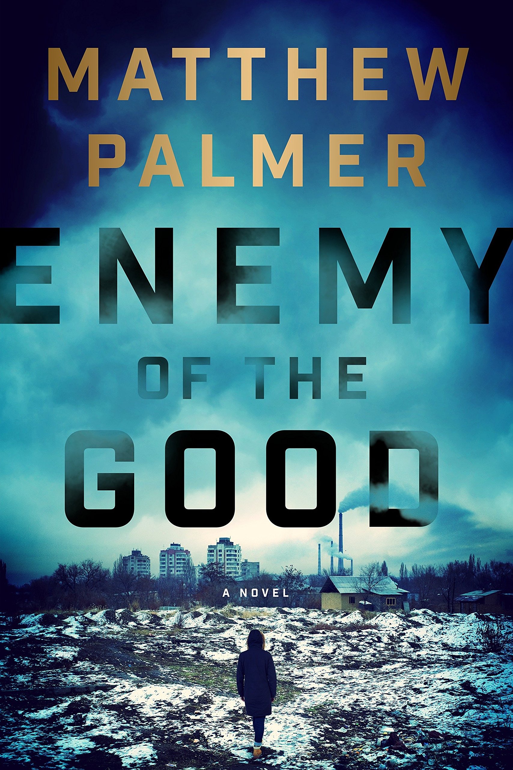 Enemy of the Good A Novel
