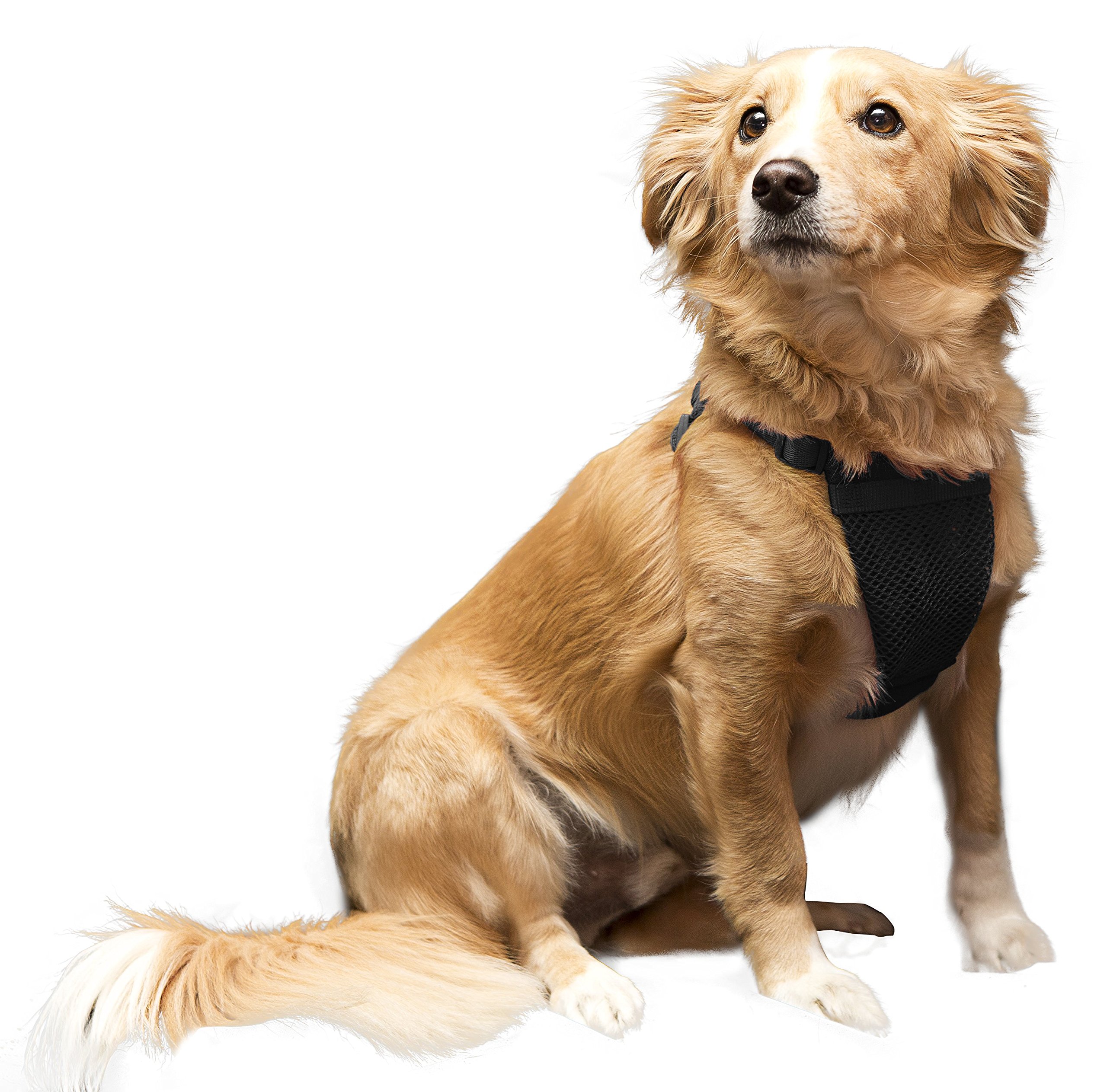 Comfort Harness for Dogs, Black, Medium