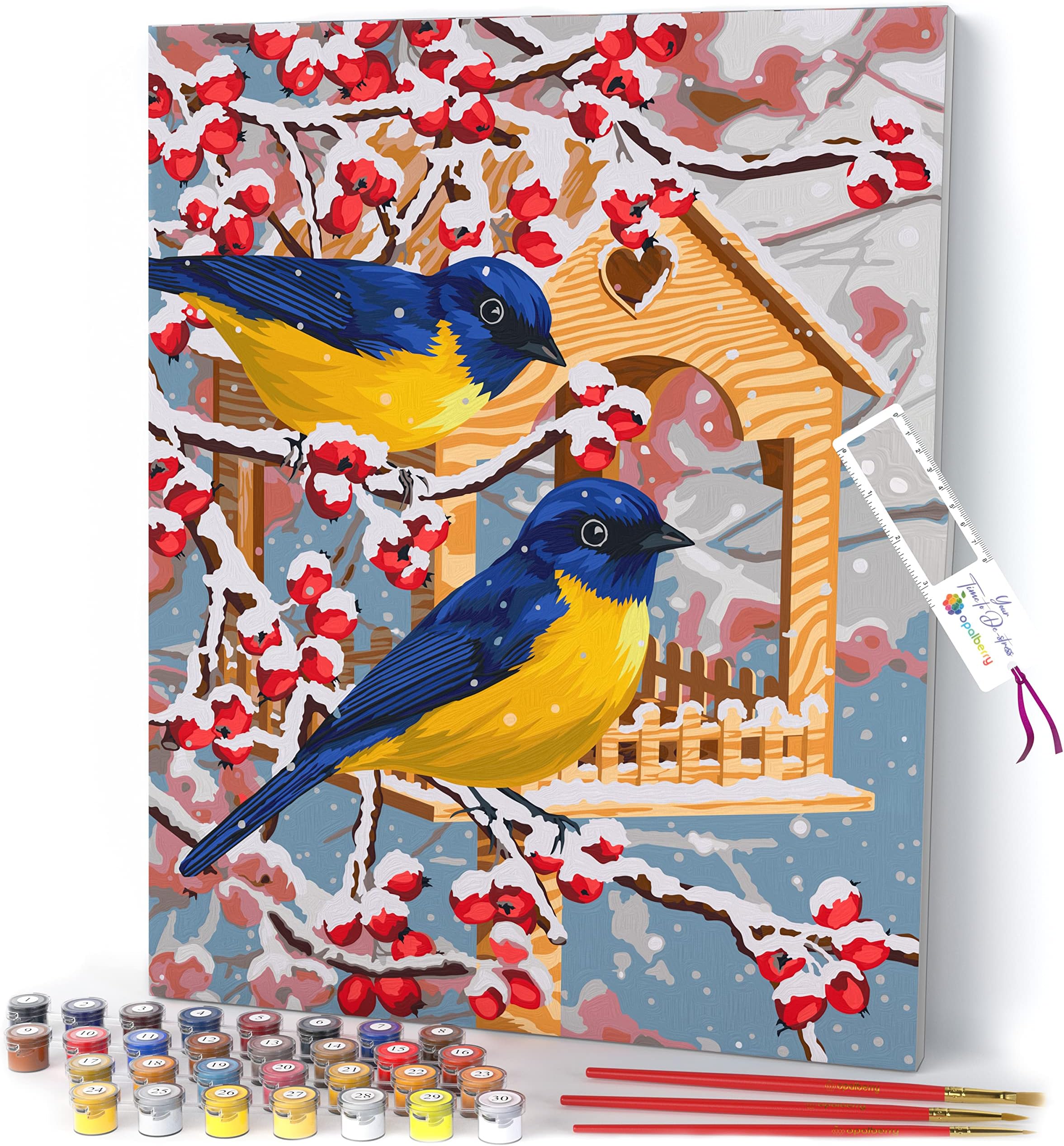 Opalberry Paint by Numbers for Adults Framed - Adults' Paint-by-Number Kits on Canvas - Paint by Numbers for Adults with Frame - DIY Painting by Numbers for Adults - Paint by Numbers Canvas