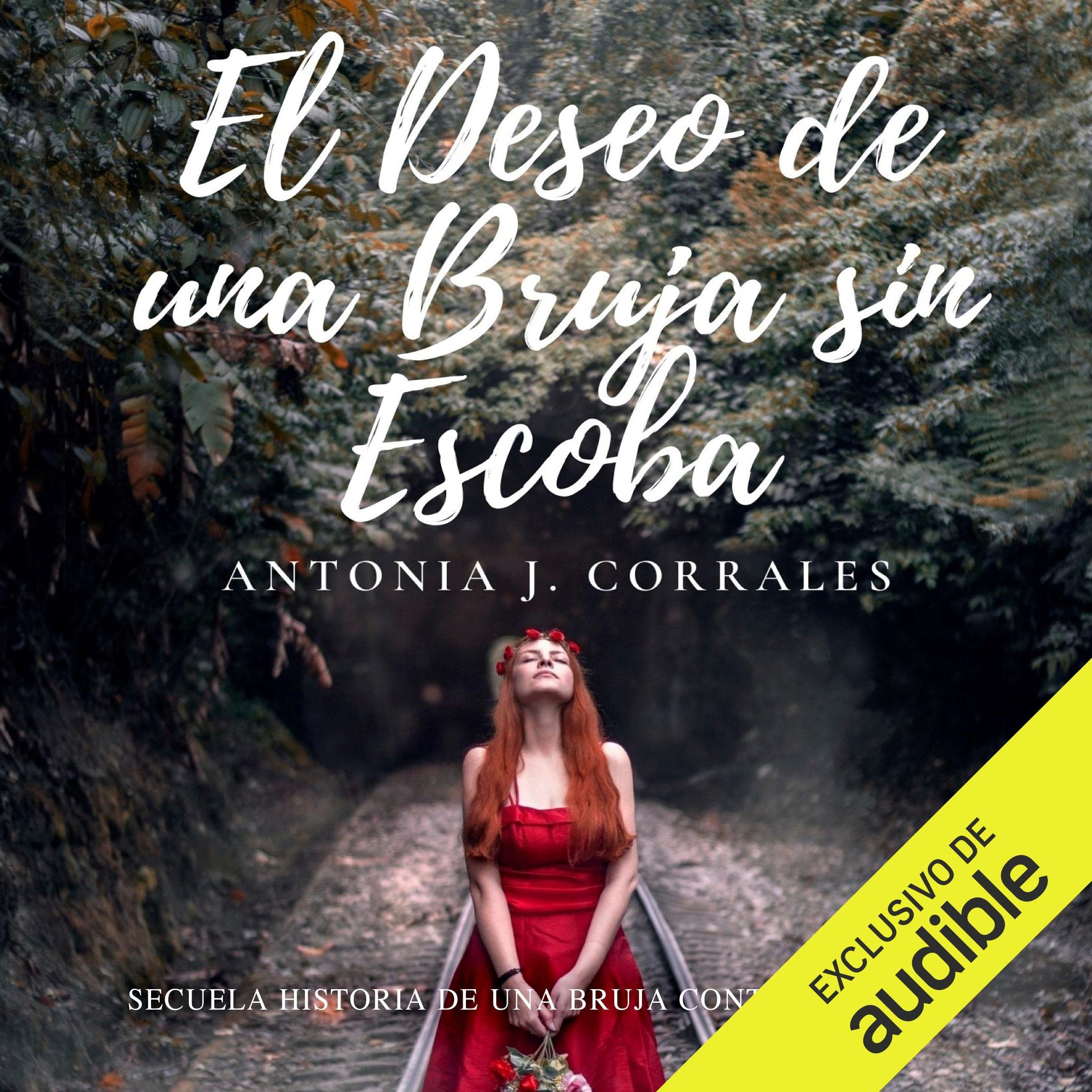 Cover art for El deseo de una bruja sin escoba