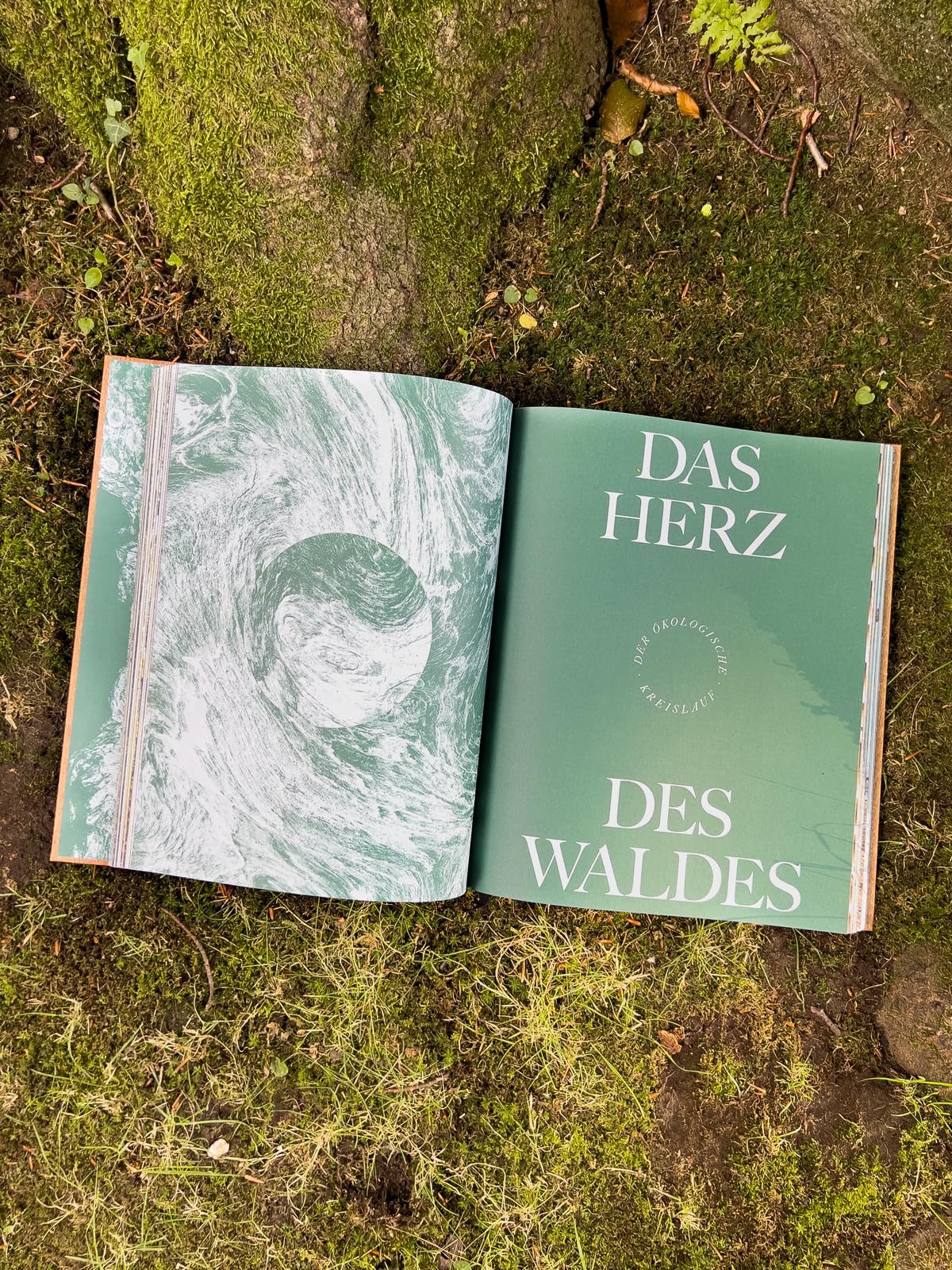 THE WOODS: Einzigartiger Kosmos - Ewiger Kreislauf: wunderschöner Bildband mit Holzcover, Waldwissen und Inspiration - ein ganz besonderes Geschenk