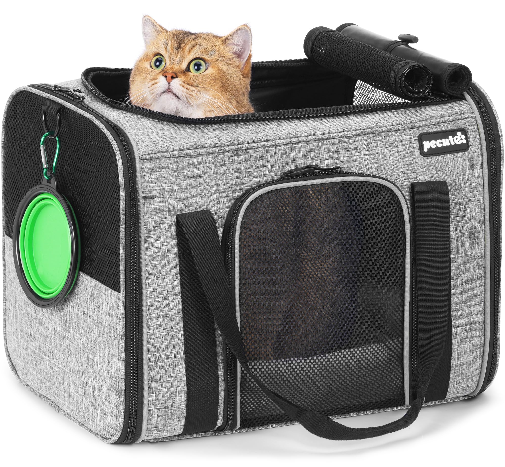 Pecute Portatile Trasportino per Gatti, Trasportino per Cani Gatti con Morbido Cuscino, Borsa Portatile o a Tracolla in Tessuto per un Trasporto Comodo