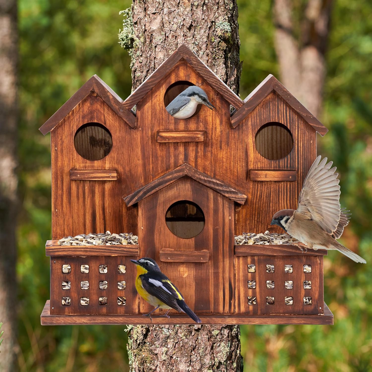 MIXUMON Bird House Outdoor with Feeder, 6-Room Wooden Birdhouse for Outdoors & Outside, Carbonized Pine Wood Bird Houses with 1.57” Entrance & Easy Clean-Out Doors