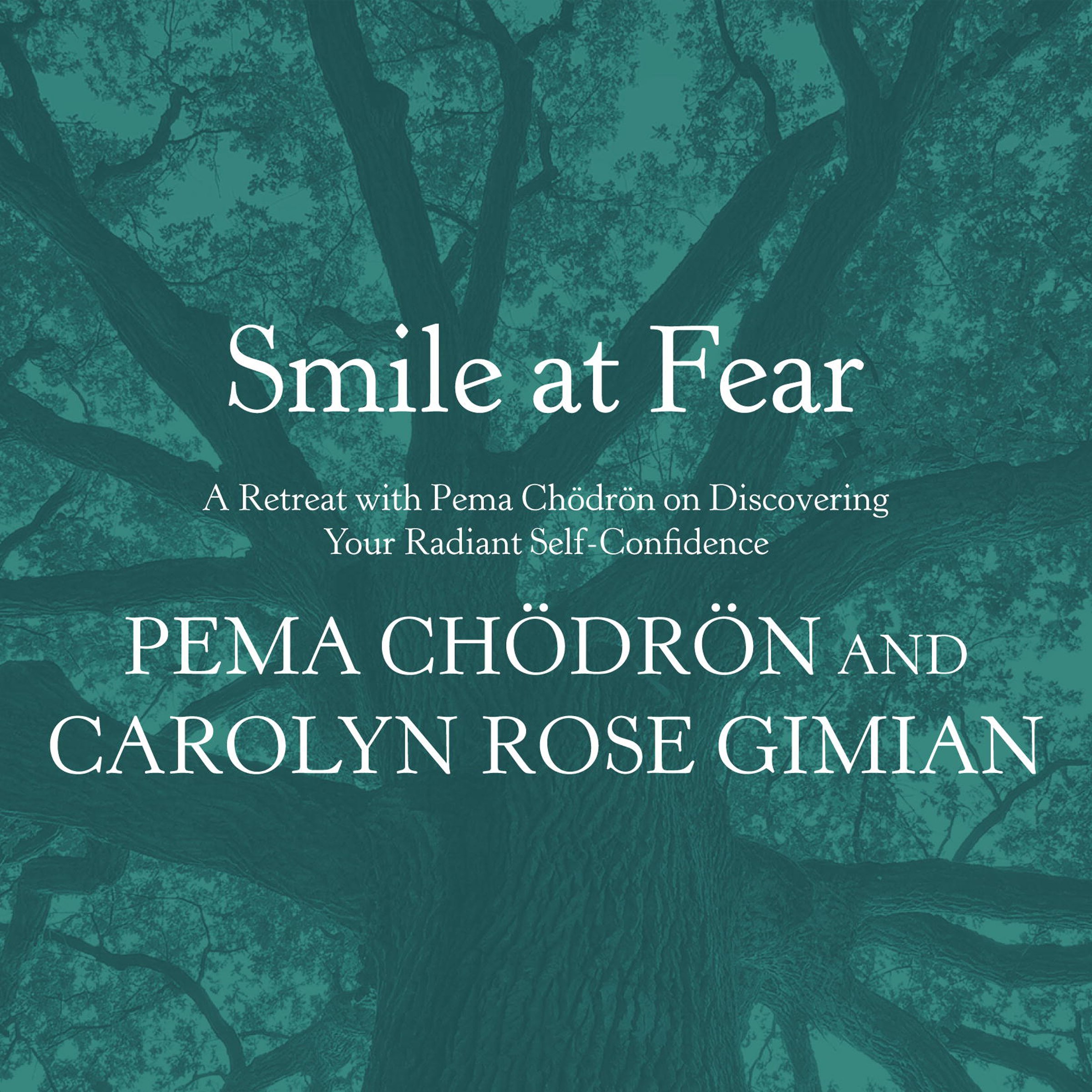 Cover art for Smile at Fear