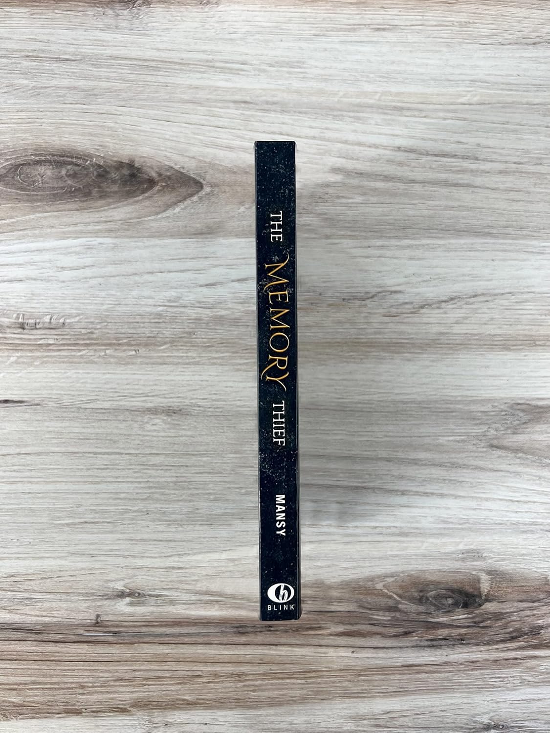 The Memory Thief (Blink)      Paperback – May 31, 2022