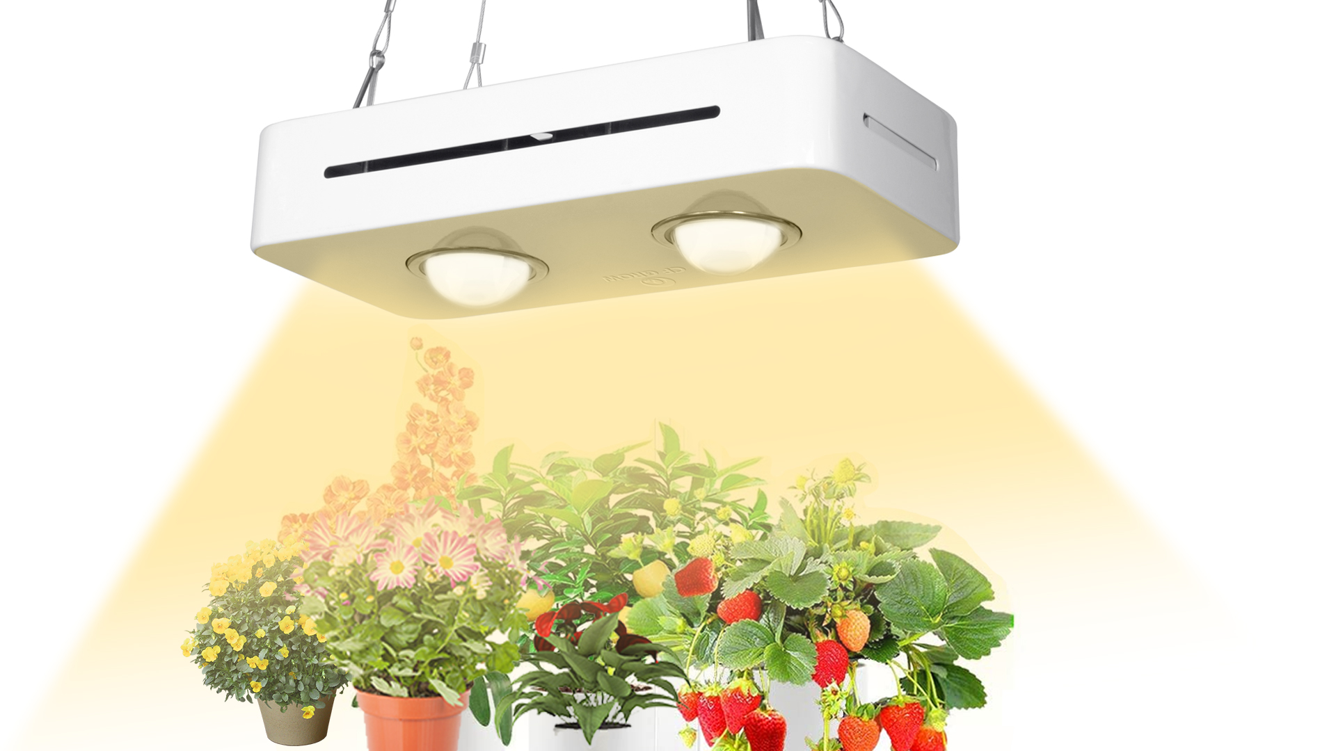 Watch PDGROW COB Led Grow Light on Amazon Live