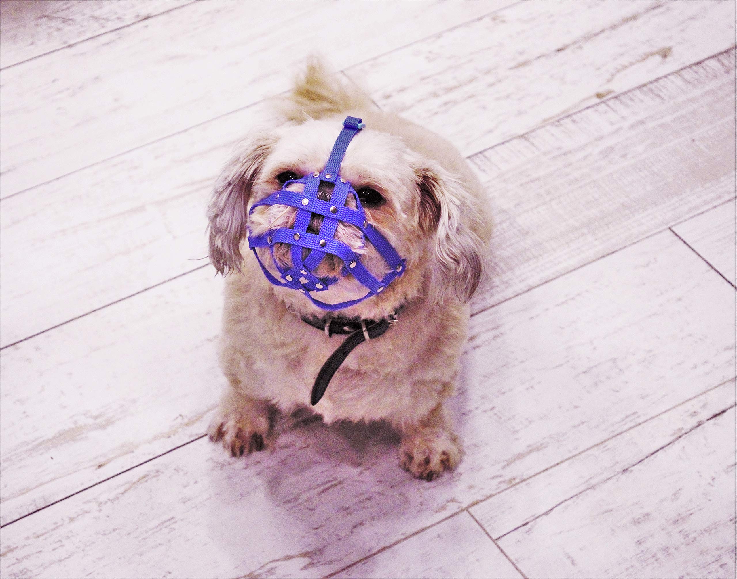 L&J Pets Uk Nylon Strap Dog Muzzle for Shih Tzu, Pug and other flat face faced short snout dogs | Safety and Comfort (M1, Blue)