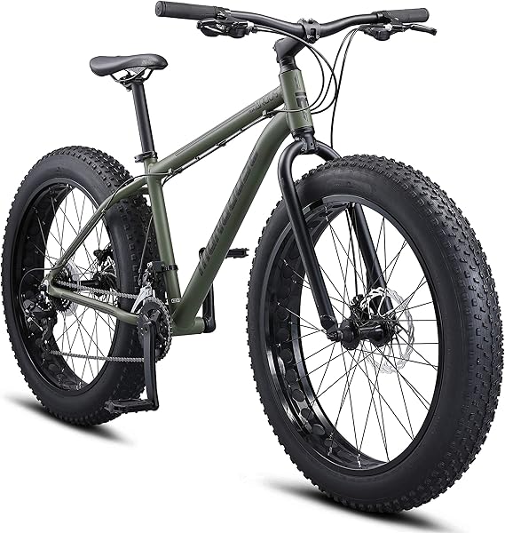Fat Mountain Bike