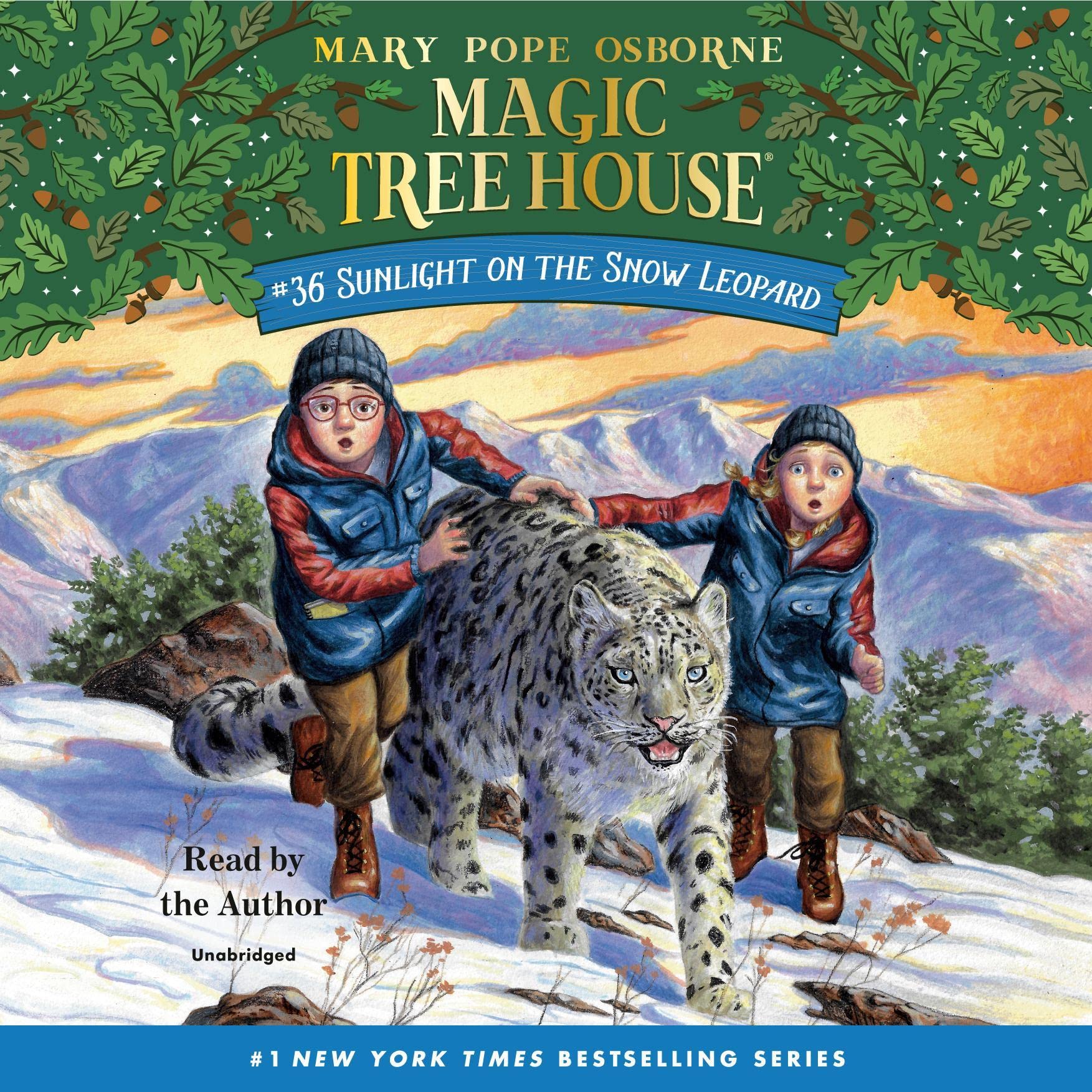 Cover art for Sunlight on the Snow Leopard
