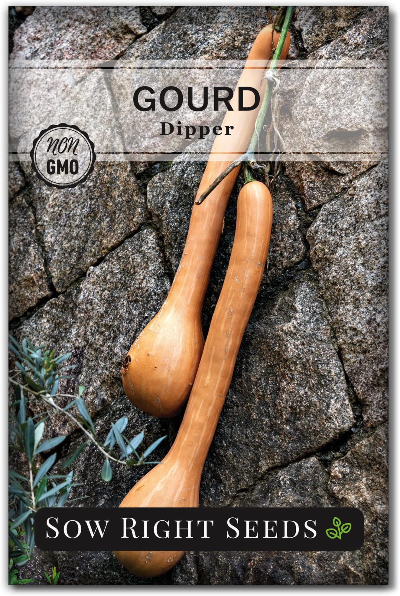 Sow Right Seeds - Dipper Gourd Seeds for Planting - Non-GMO Heirloom Packet with Instructions to Plant and Grow an Outdoor Home Vegetable Garden - Ornamental Craft Gourd - Rare & Unique (1)