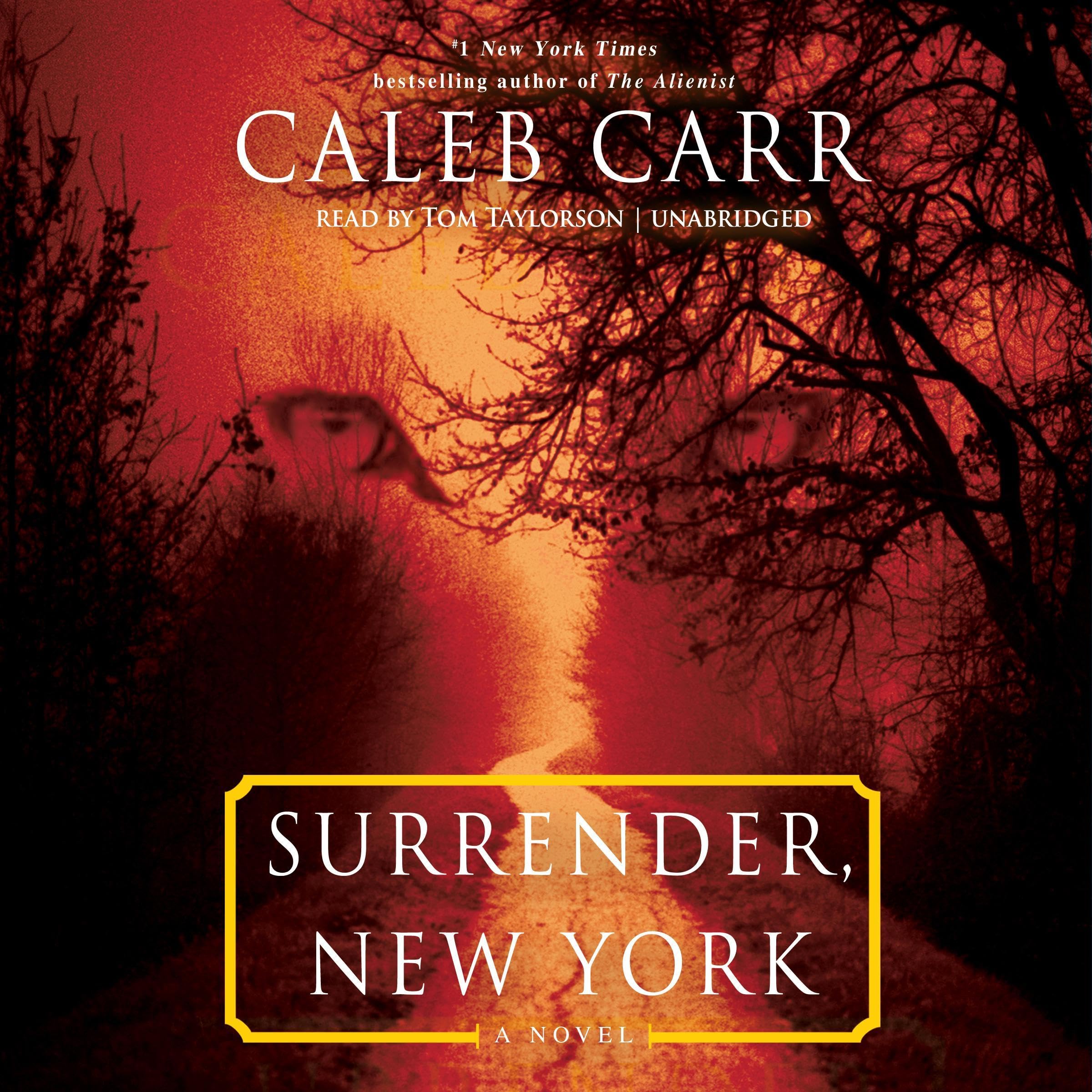 Cover art for Surrender, New York