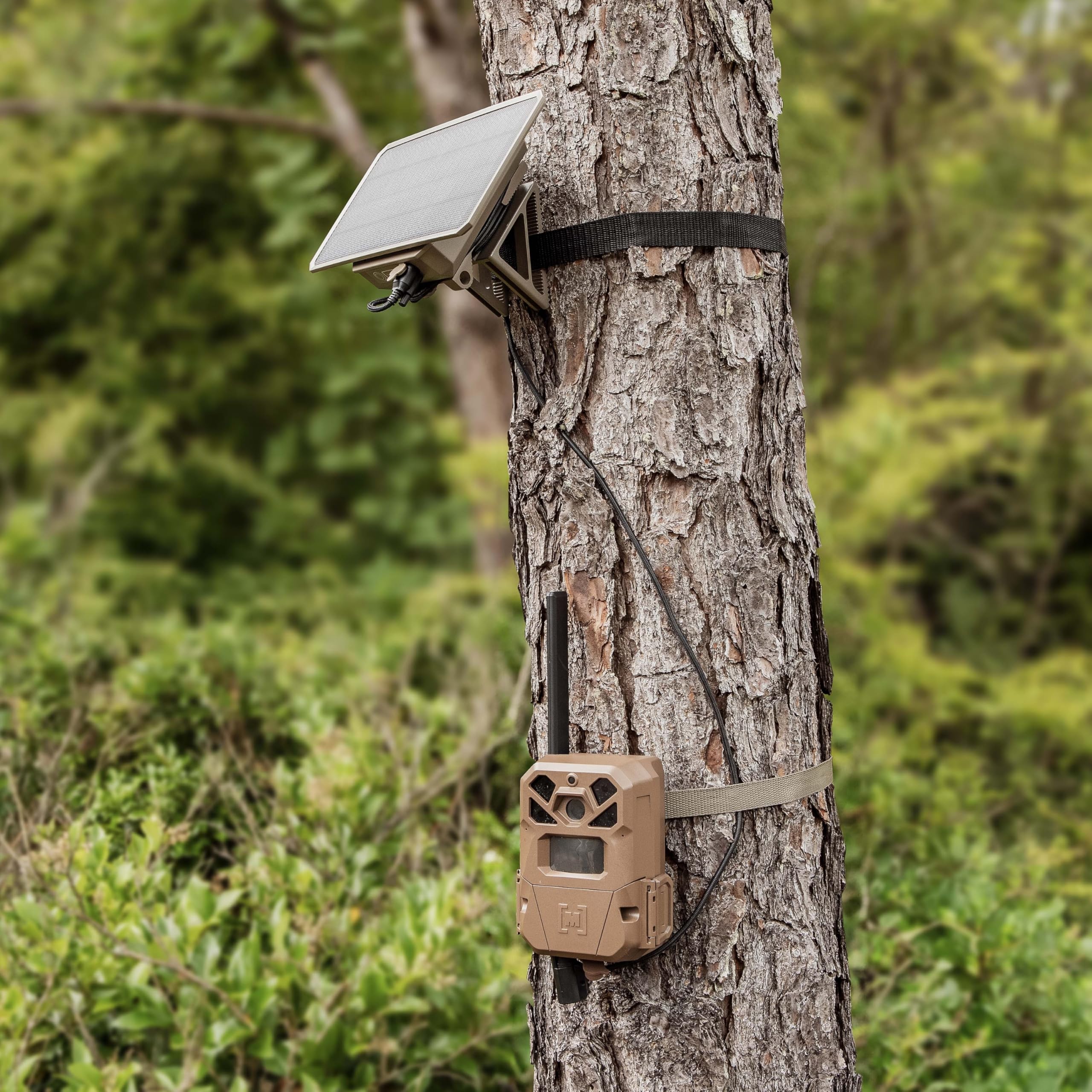 Amazon.co.jp: Moultrie Edge 2 PRO セルラートレイルカメラとソーラー