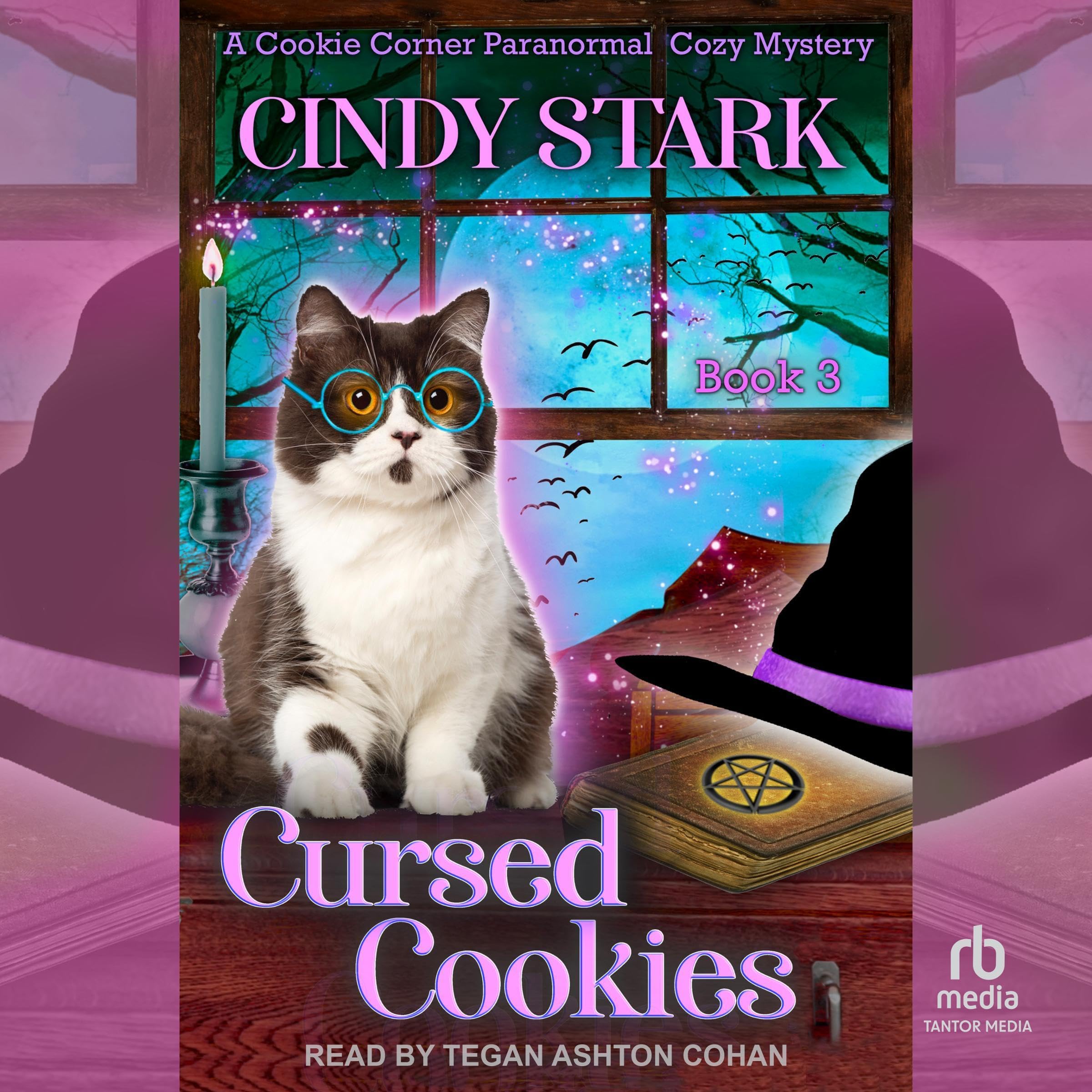Cover art for Cursed Cookies