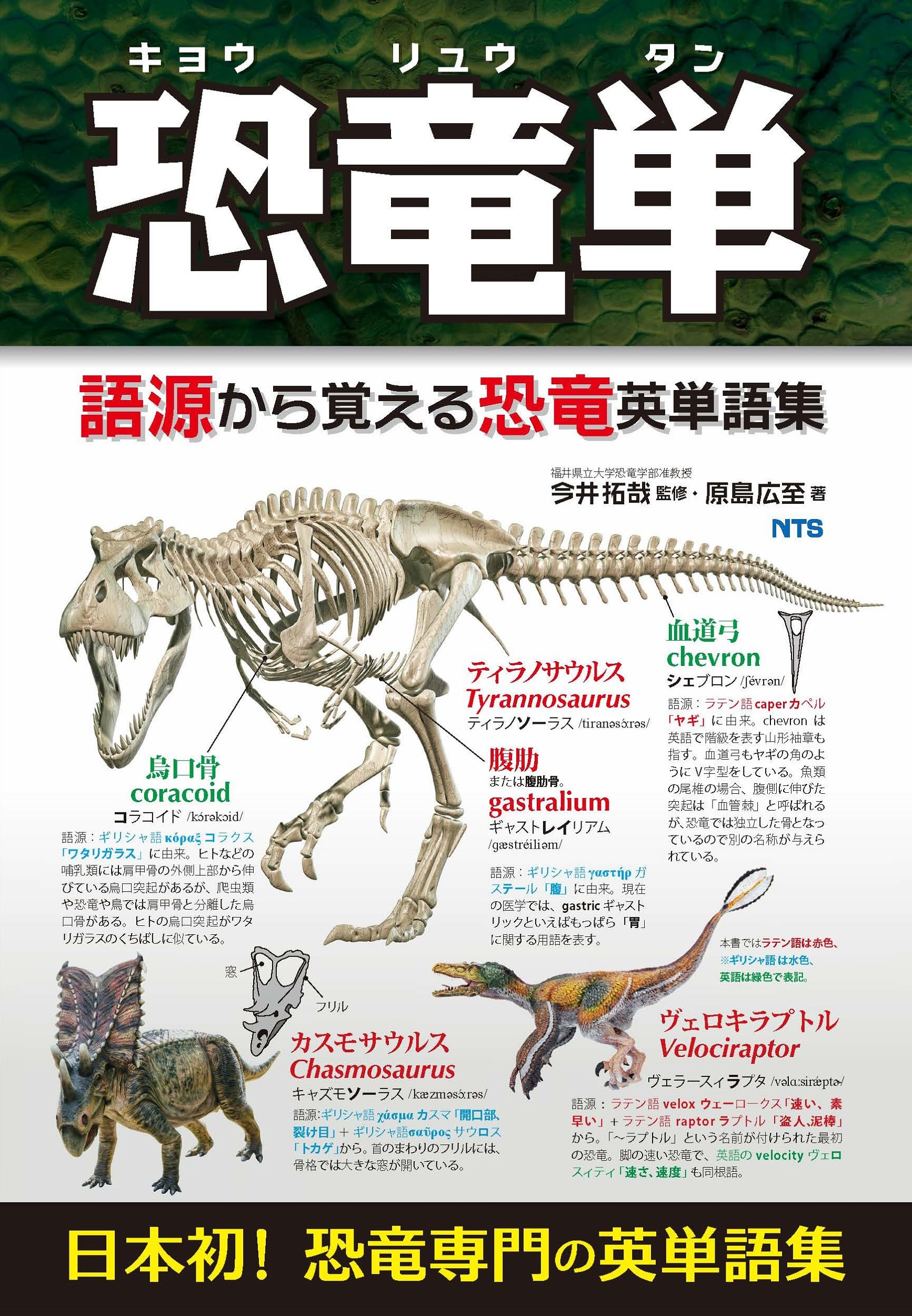 恐竜単: 語源から覚える恐竜英単語集 | 今井 拓哉, 原島 広至 |本
