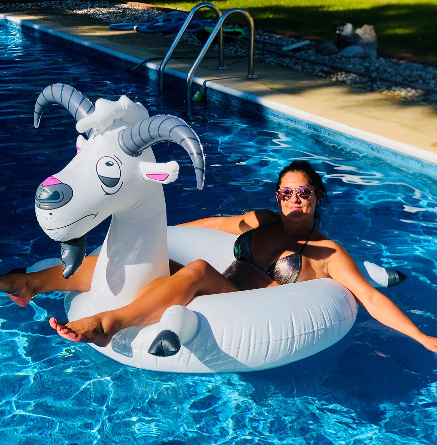 Swimline Inflatable Goat Swim Ring, Grey : Everything Else