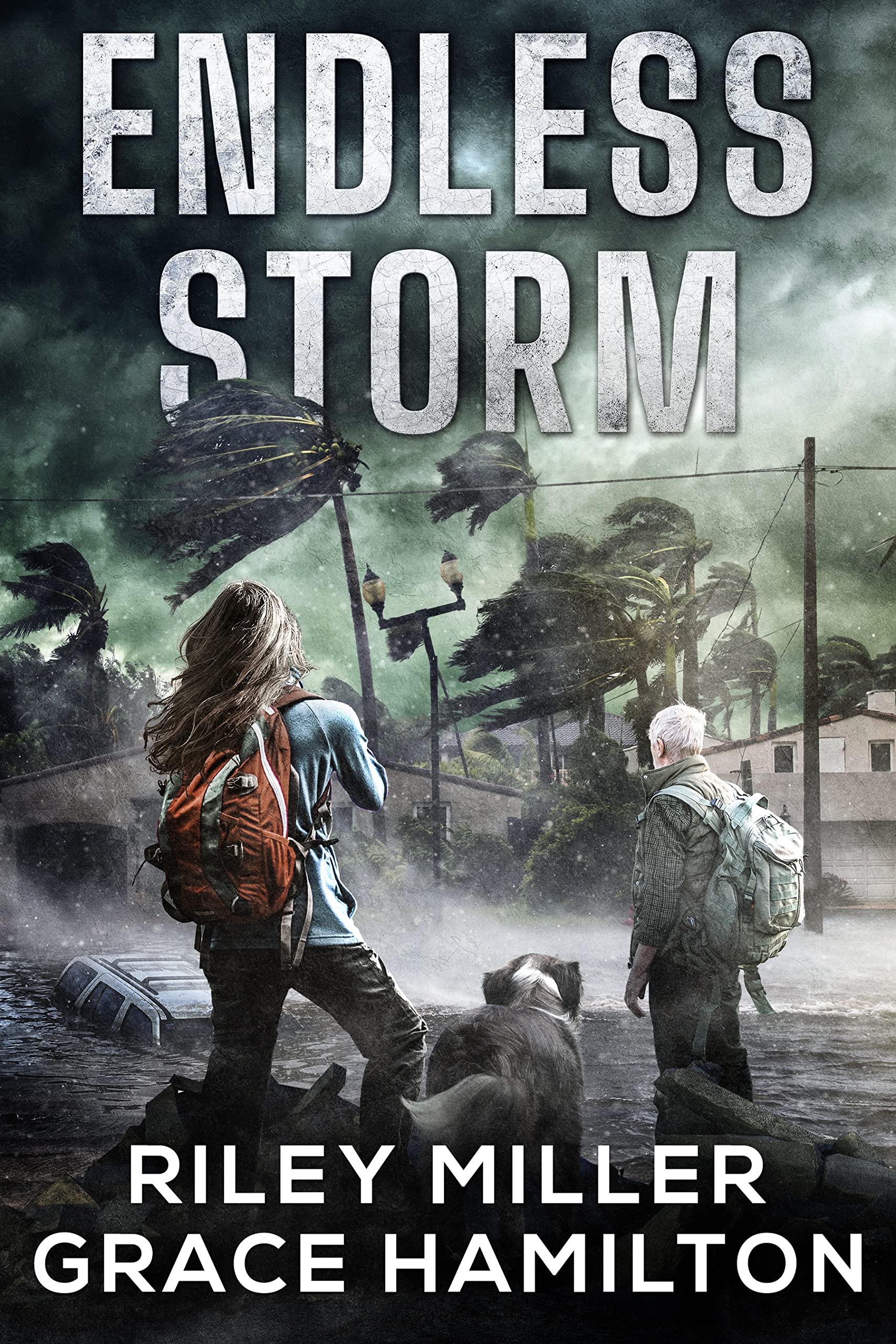 Endless Storm: Huge Post-Apocalyptic Disaster Saga with 1000+ Pages of an American Family Surviving a World-Changing Storm