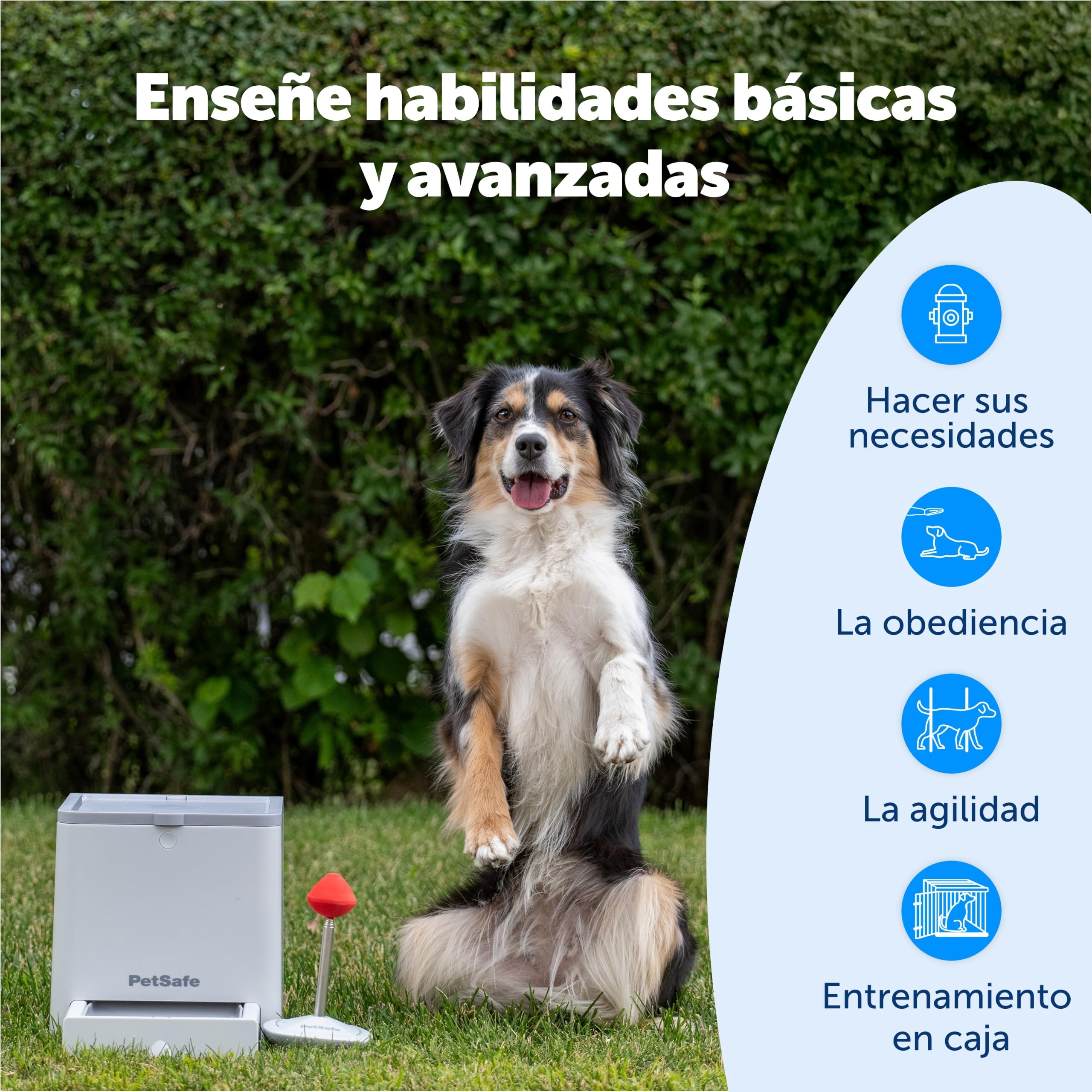PetSafe Teach & Treat – Adiestrador con Mando de Recompensa, Dispositivo de Entrenamiento de Recompensas, Entrenamiento con Control Remoto, Refuerzo Positivo para Perros, Dispensador de Prem