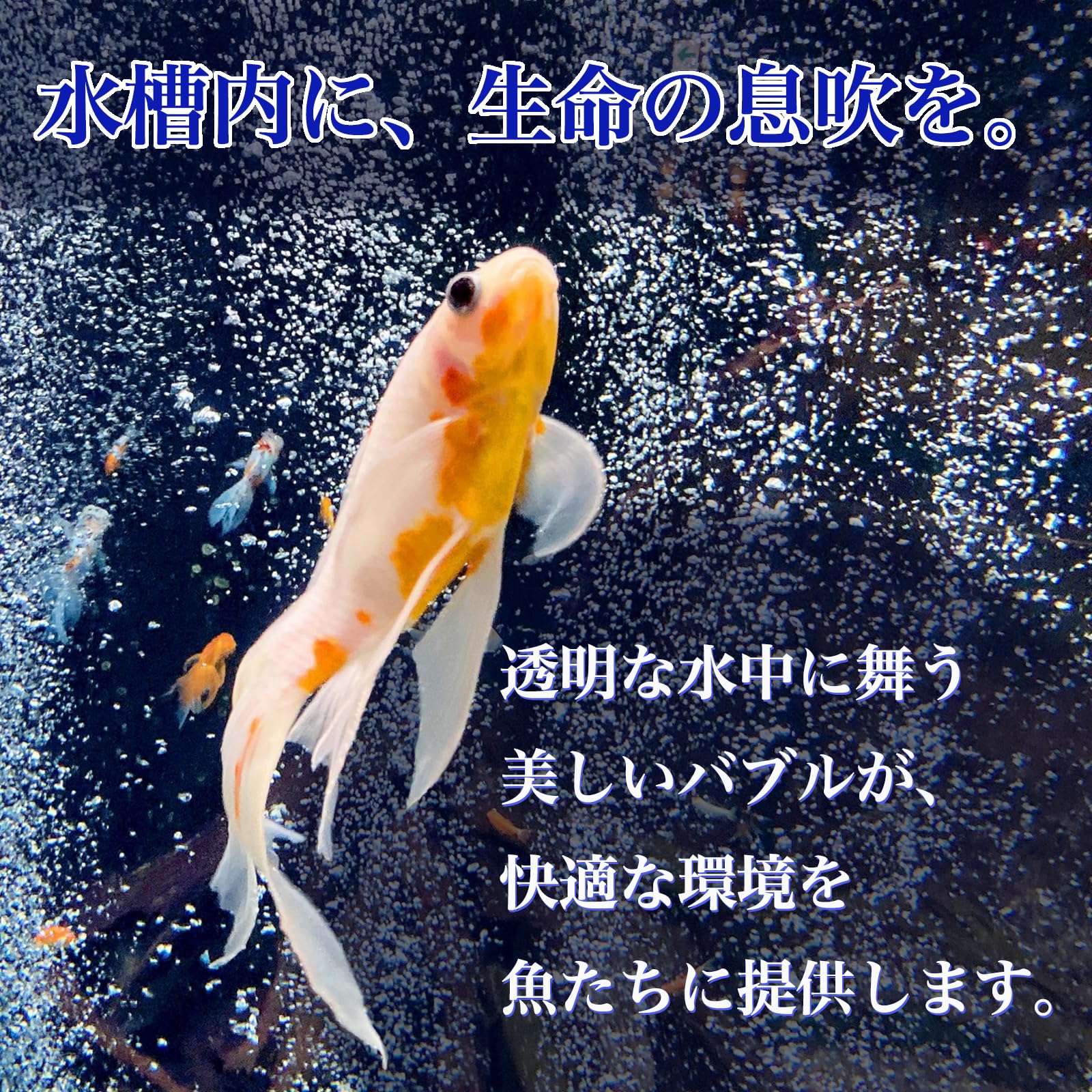 観賞魚用　ブクブク5点セット Amazon | ニッソー お魚飼育ブクブク5点 | ニッソー