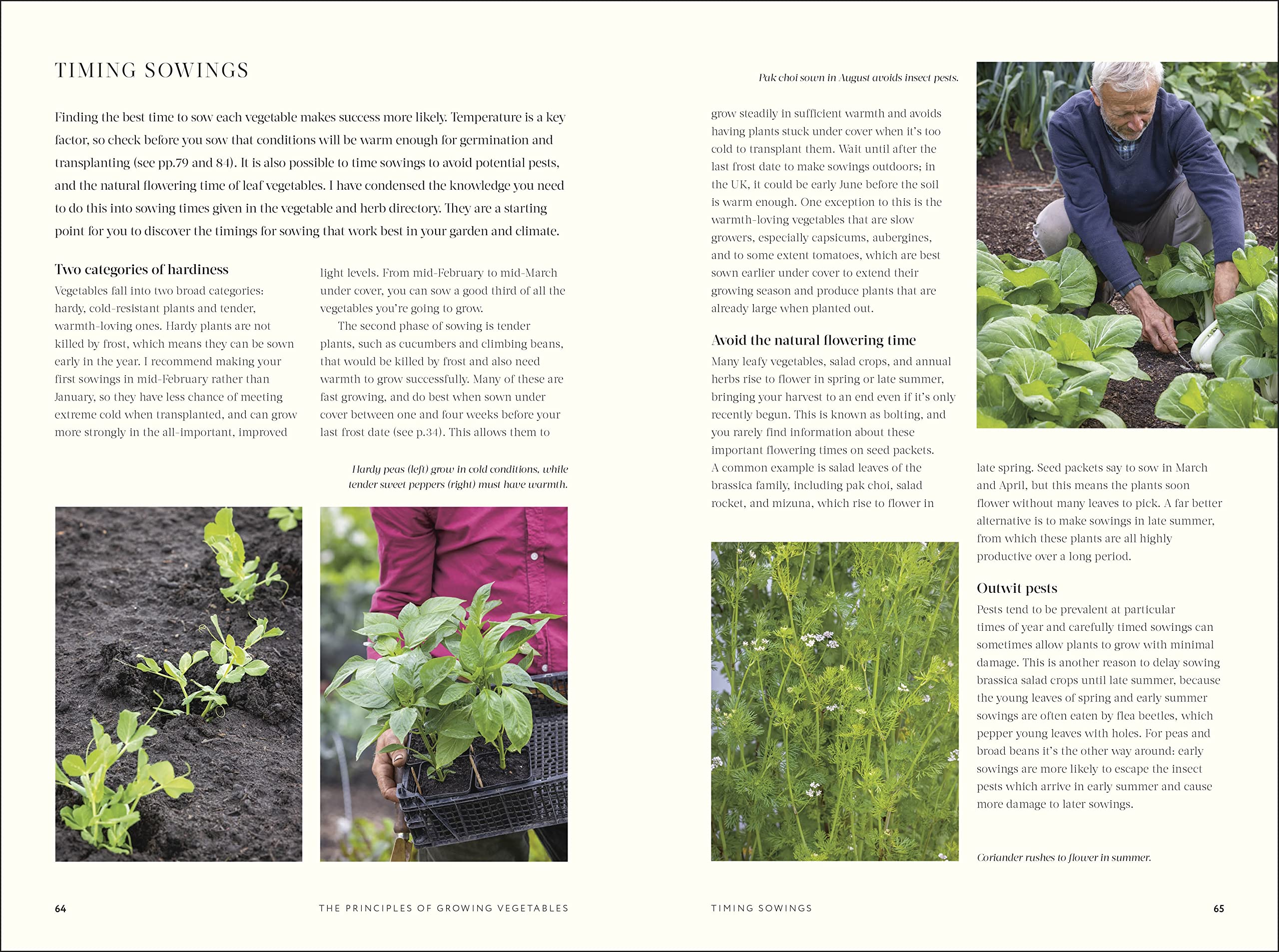 No Dig: Nurture Your Soil to Grow Better Veg with Less Effort