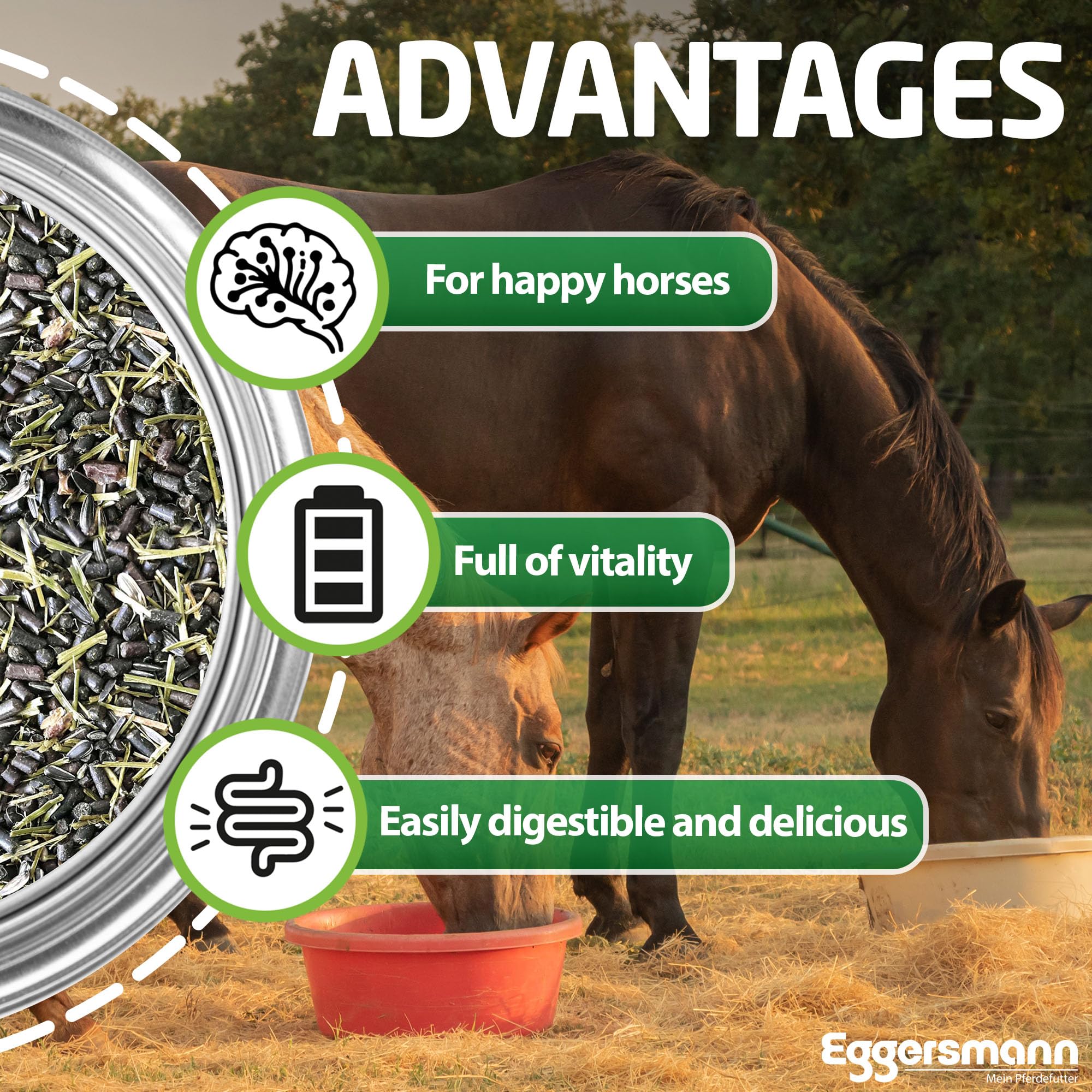 Eggersmann Green Power Nourriture naturelle pour chevaux sans céréales Pour performance en entraînement et compétition