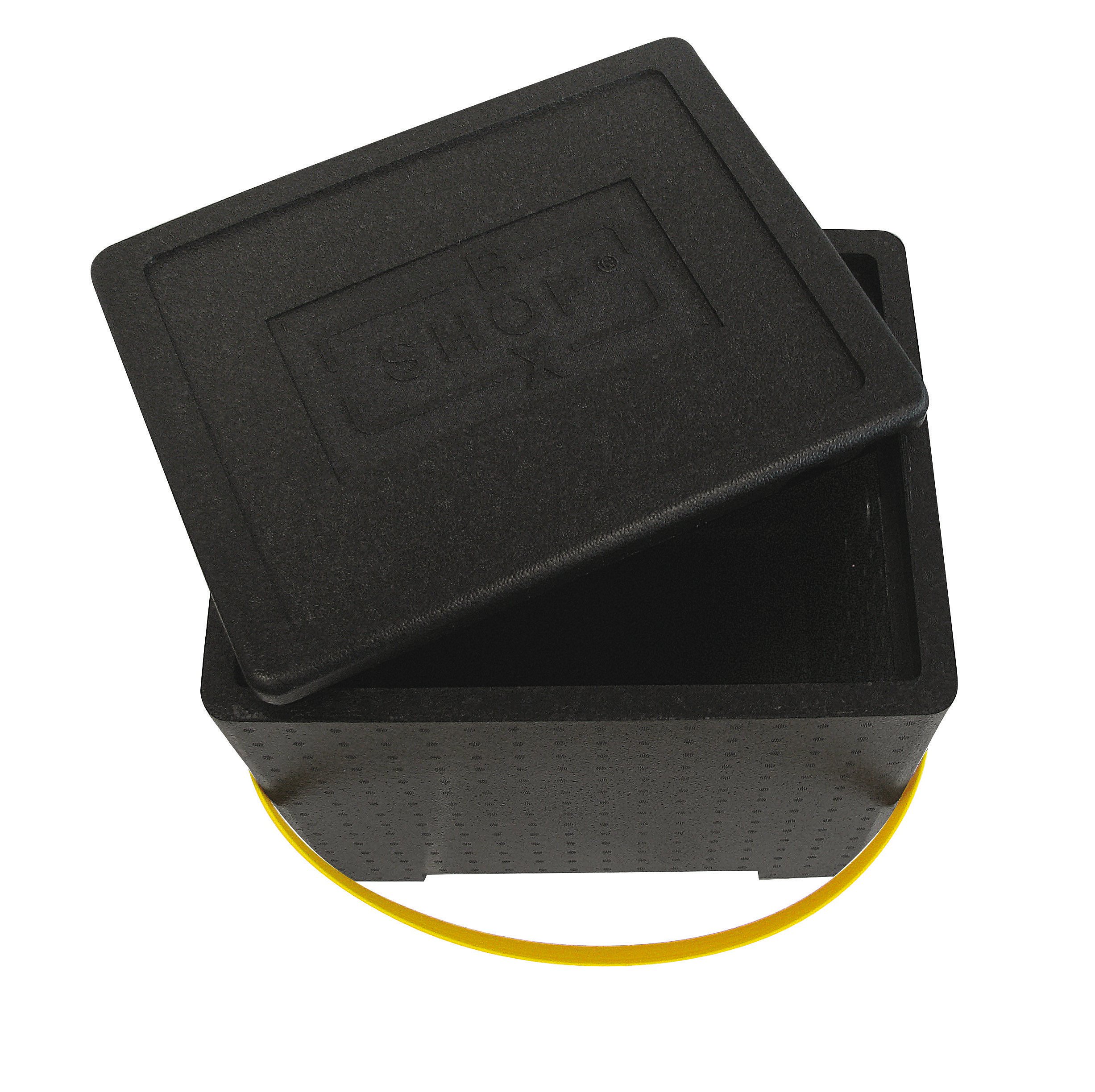 Paderno Contenitore Boxshop Lt 31,2 PPE Isotermico Cm 41,5x32x40
