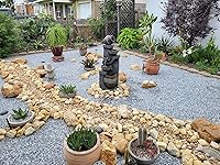 Review Image by Eddie Eddie