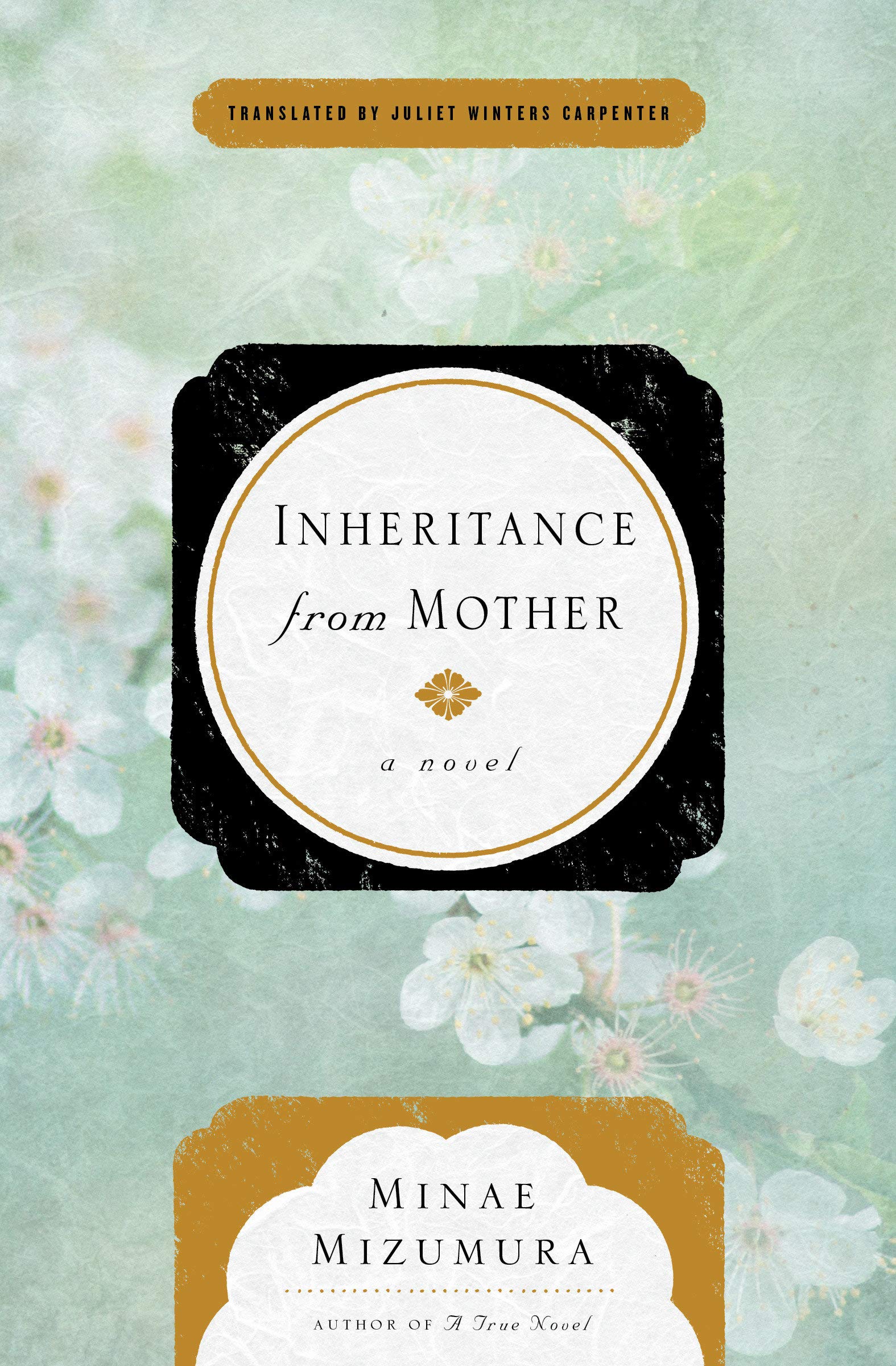 Inheritance from Mother: A Novel