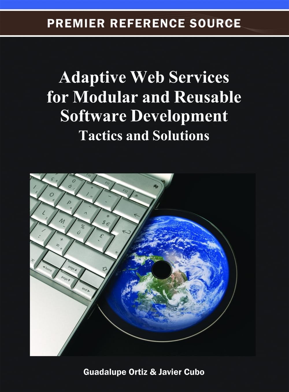 Adaptive Web Services for Modular and Reusable Software Development: Tactics and Solutions (Advances in Web Technologies and Engineering)