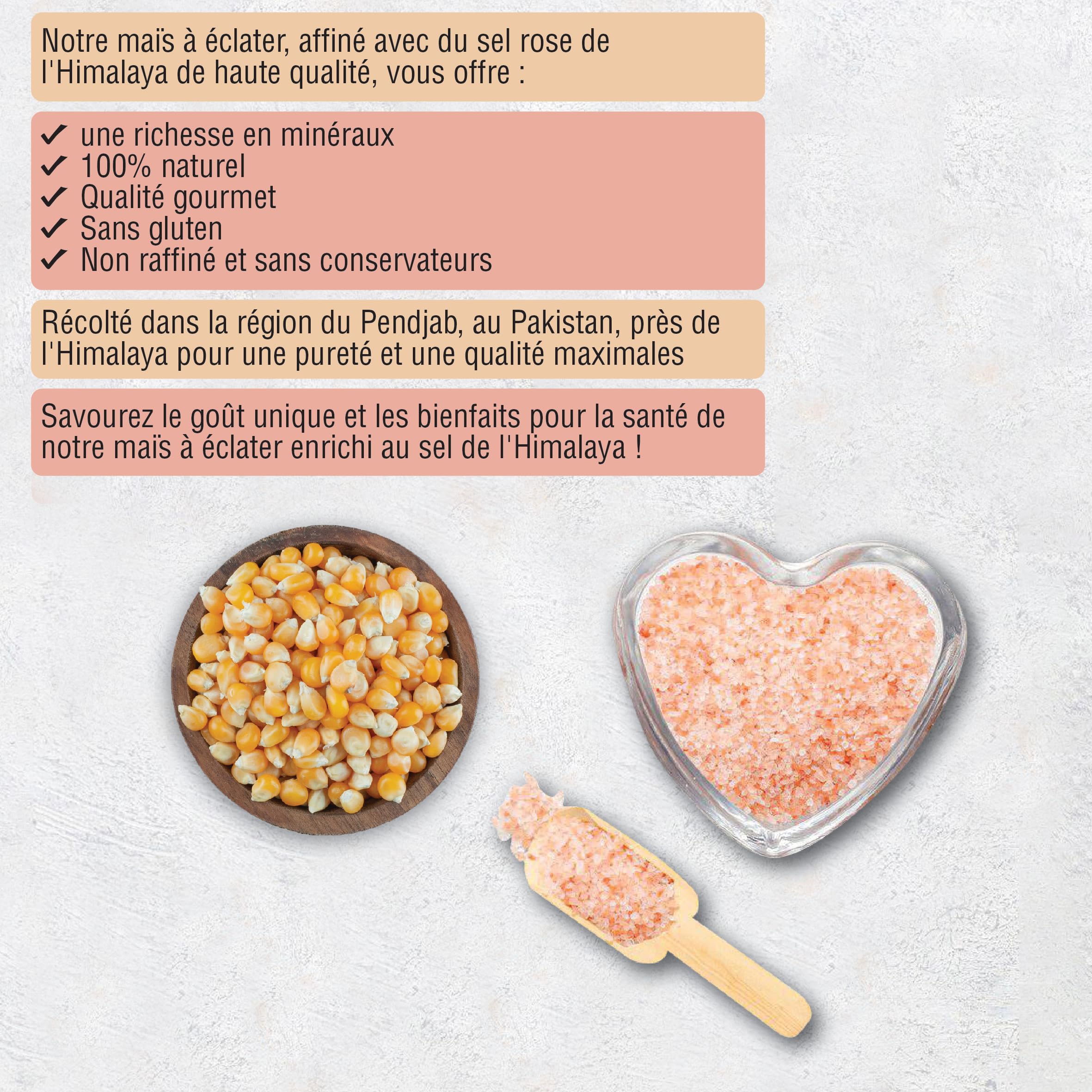 MSD MaSiDo maïs à pop-corn premium salé d'Allemagne avec sel de l'Himalaya, maïs Butterfly en pack économique, sans OGM, végétalien, sans gluten, sans lactose (2x 0,5 kg paquet salé)