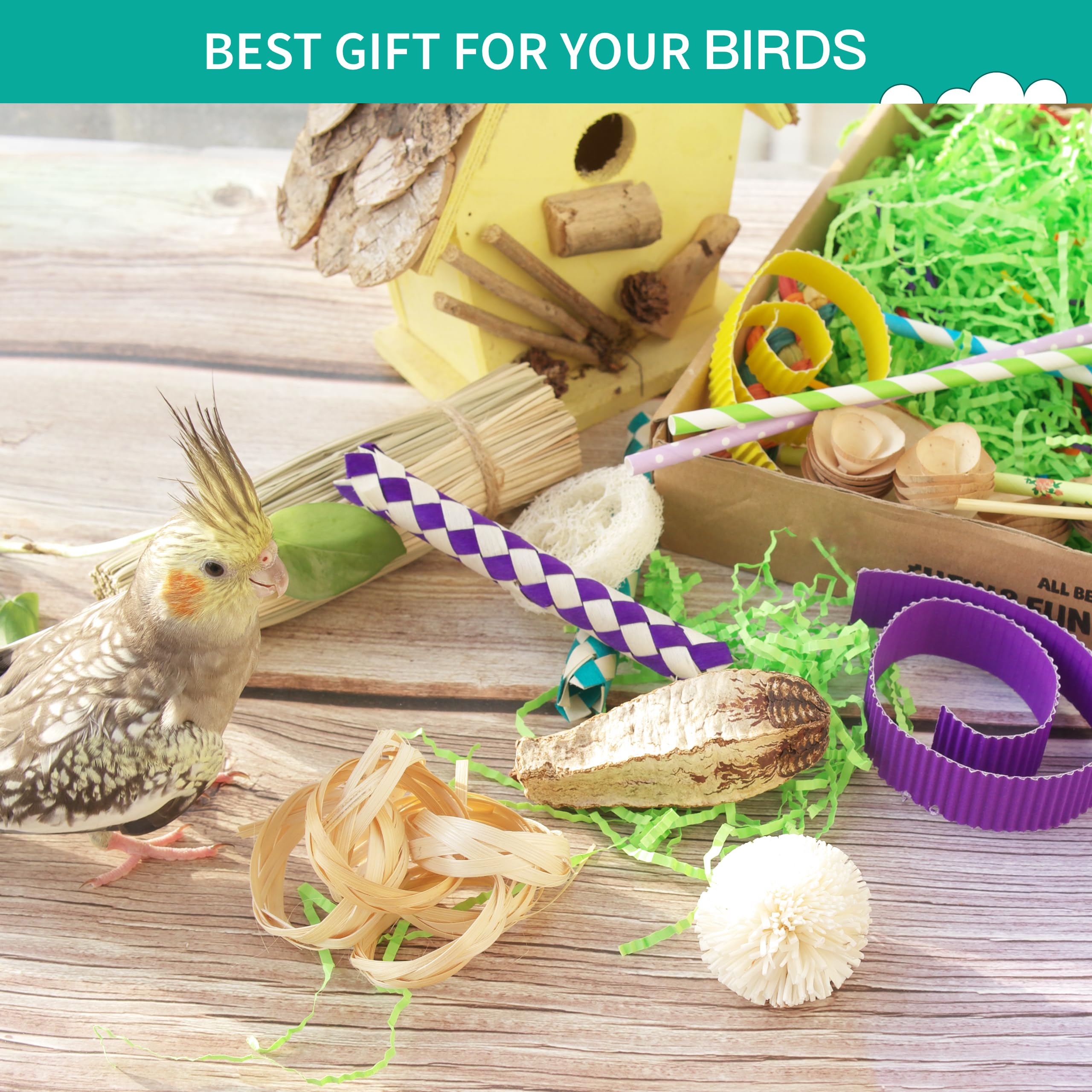 What to Use for Diy Toys Parrot: Safe, Fun, and Creative Ideas
