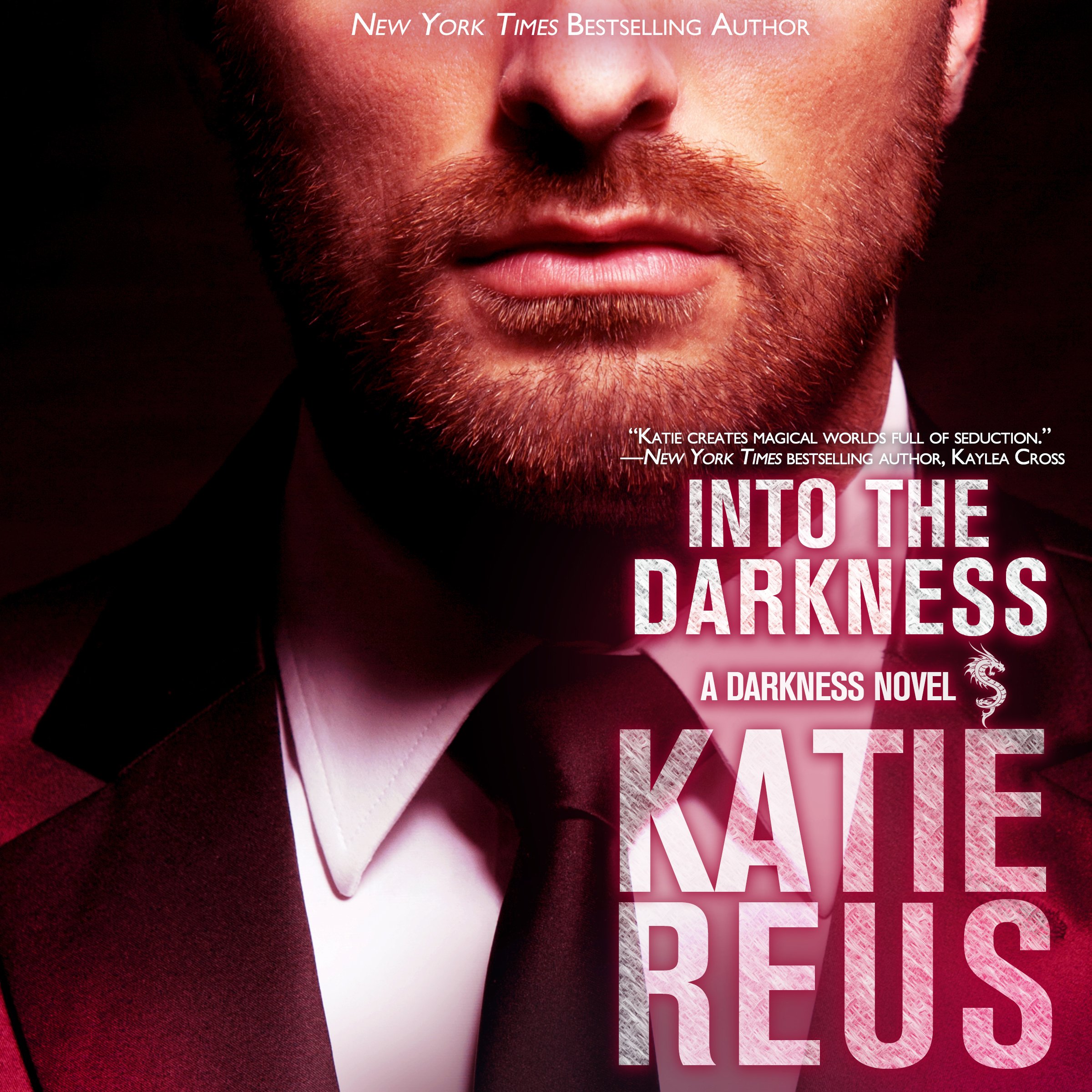 Cover art for Into the Darkness
