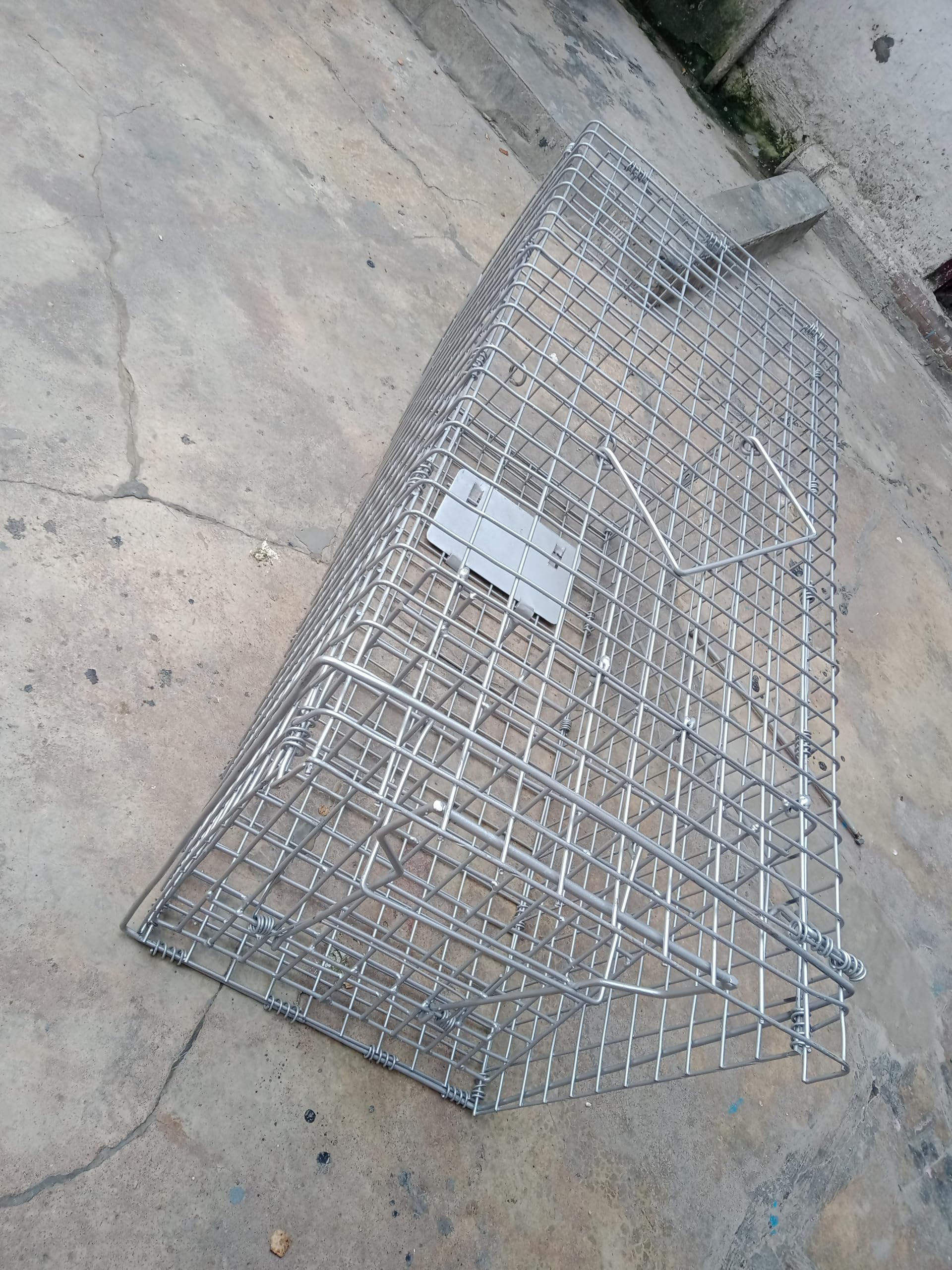 Animal Monkey Trap Cage or Animal Catching cage-Automatic Door Closer *Birds' Park*-image-14