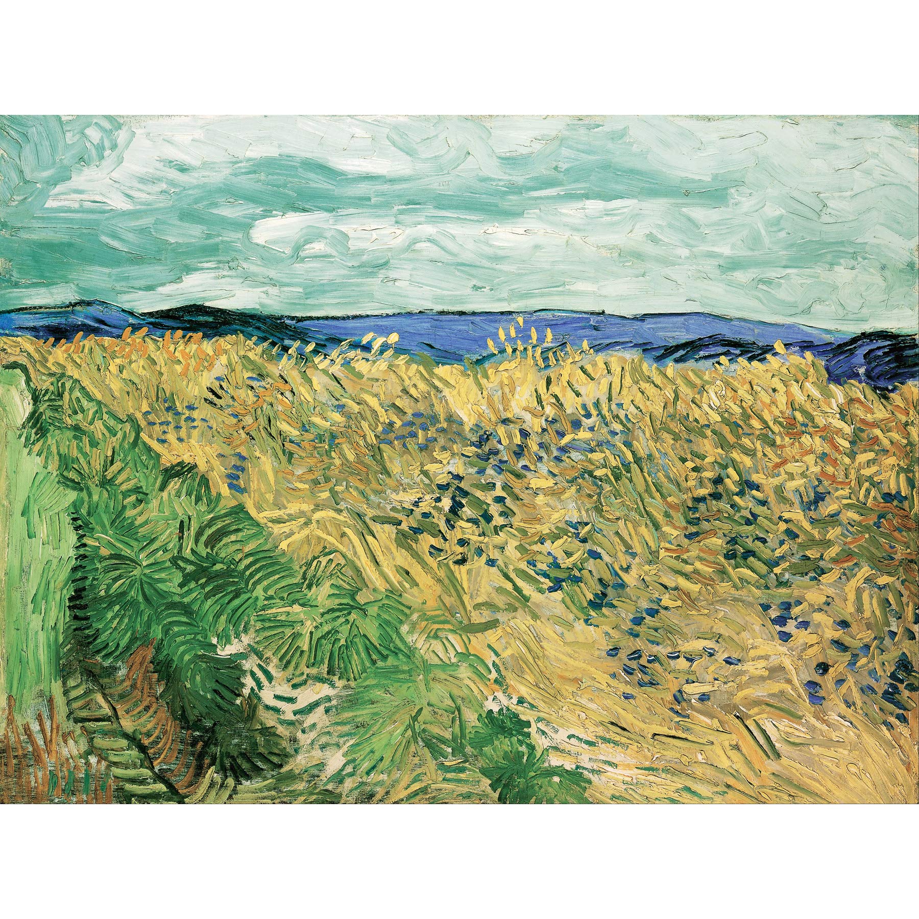 Vincent Van Gogh Wheatfield With Cornflowers Large Wall Art Print Canvas Premium Poster Mural