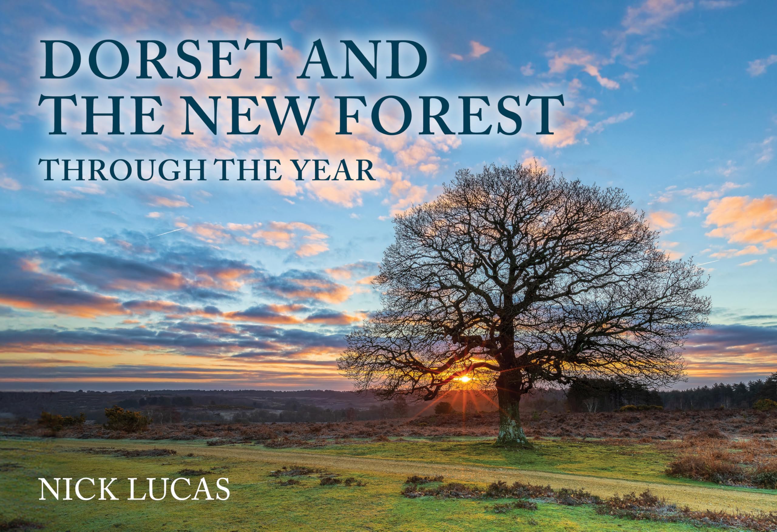 Dorset and the New Forest Through the Year