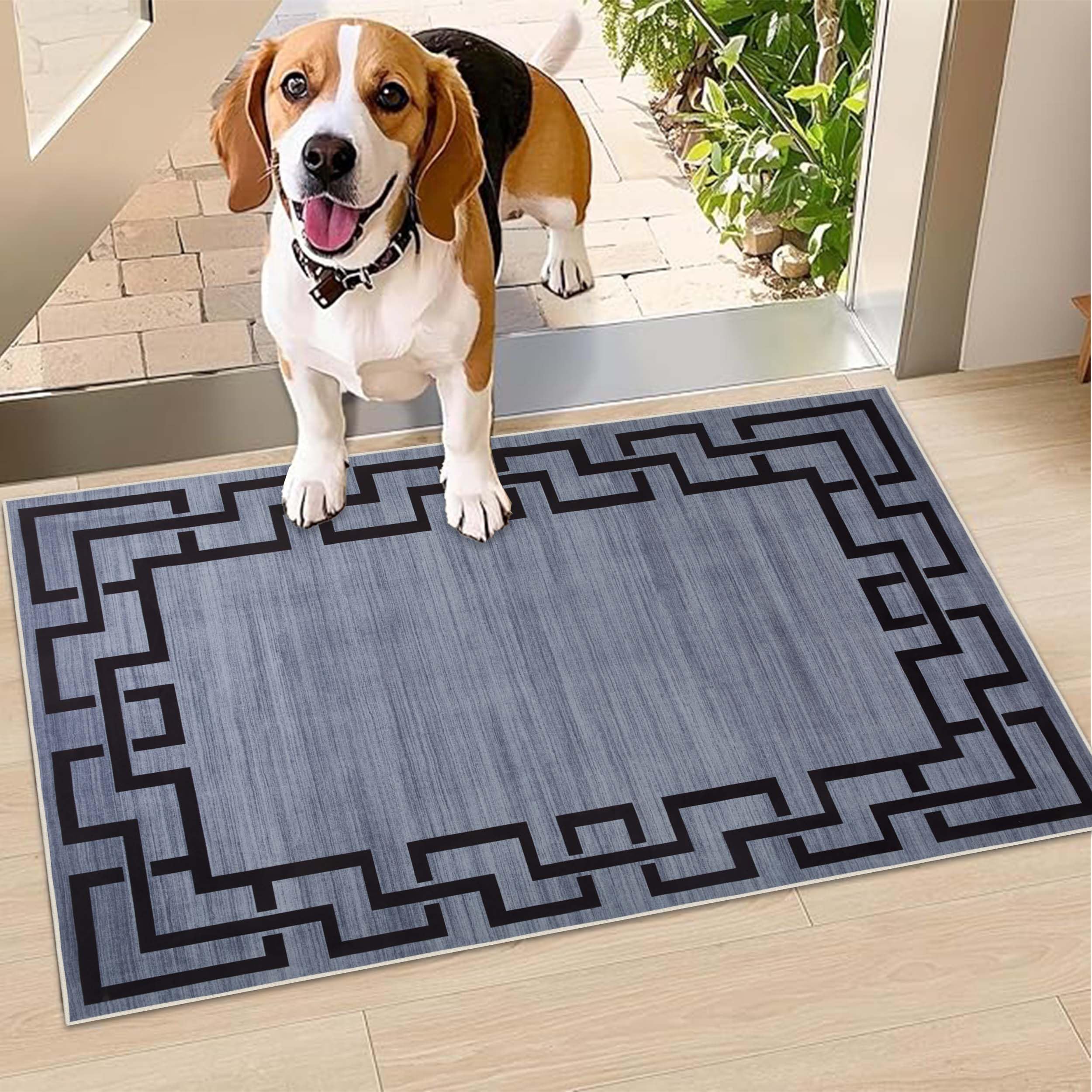 Hafaa Door Mat Indoor & Outdoor - Non Slip Heavy Duty Doormats - Stylish & Printed Mat - Perfect Dust Grabbing Shoes Scrapper Door Mats (Nico, 40cm x 60cm)